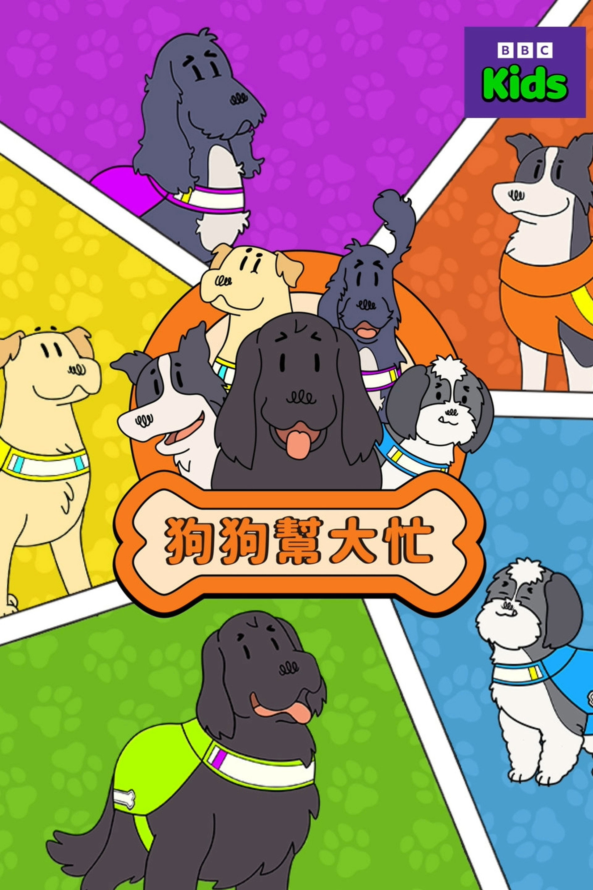 狗狗帮大忙