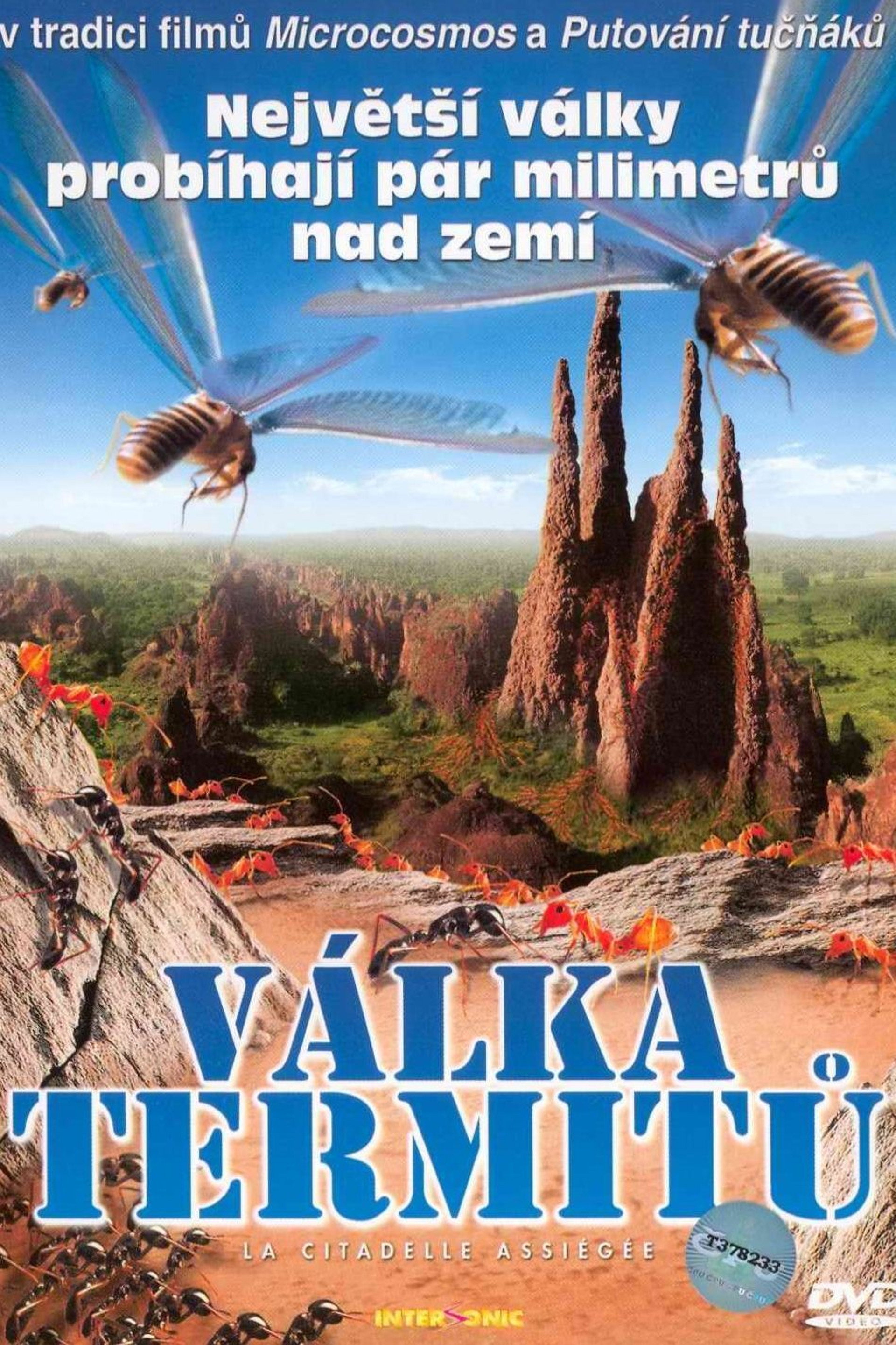 Válka termitů