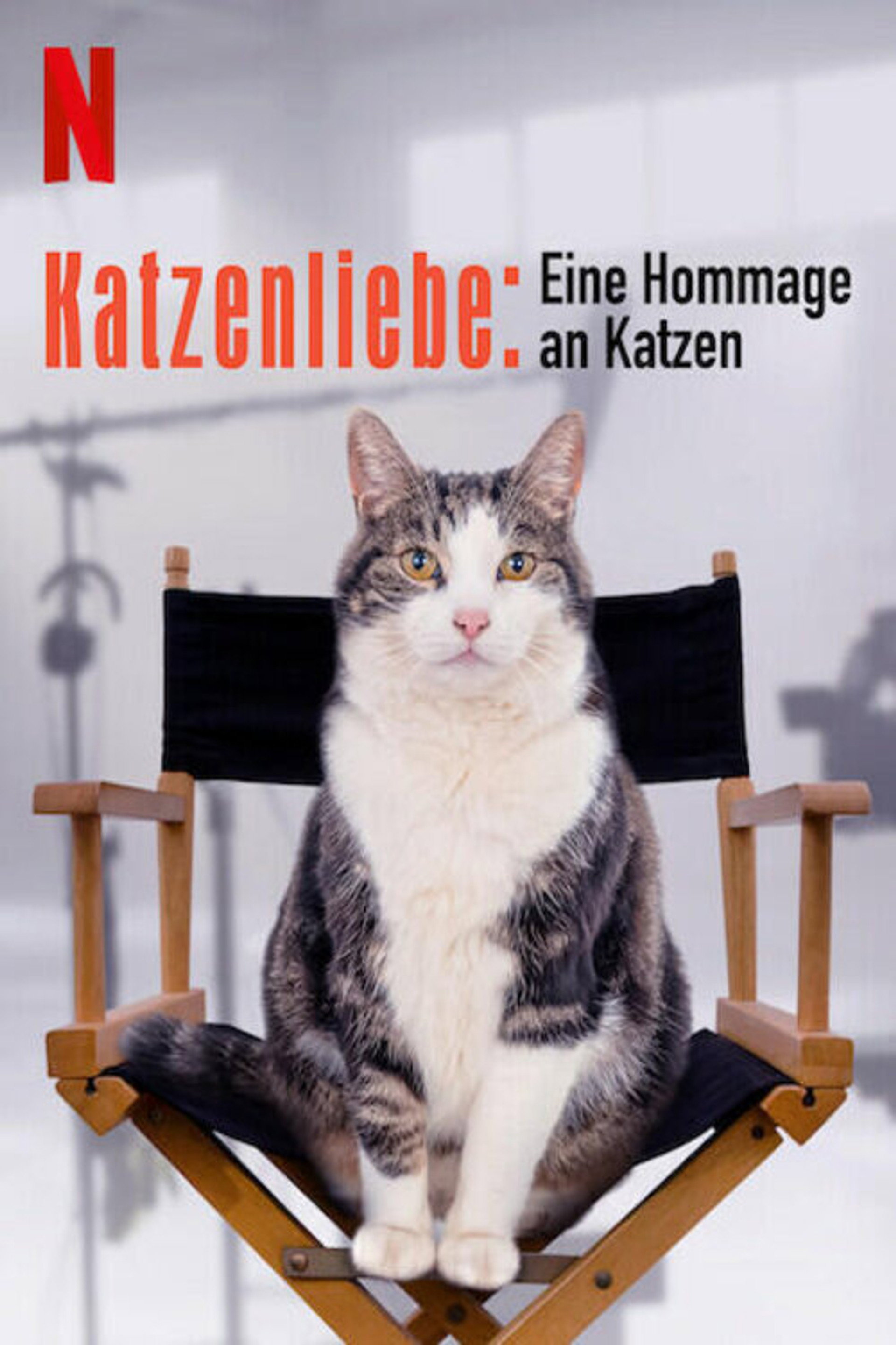 Katzenliebe: Eine Hommage an Katzen