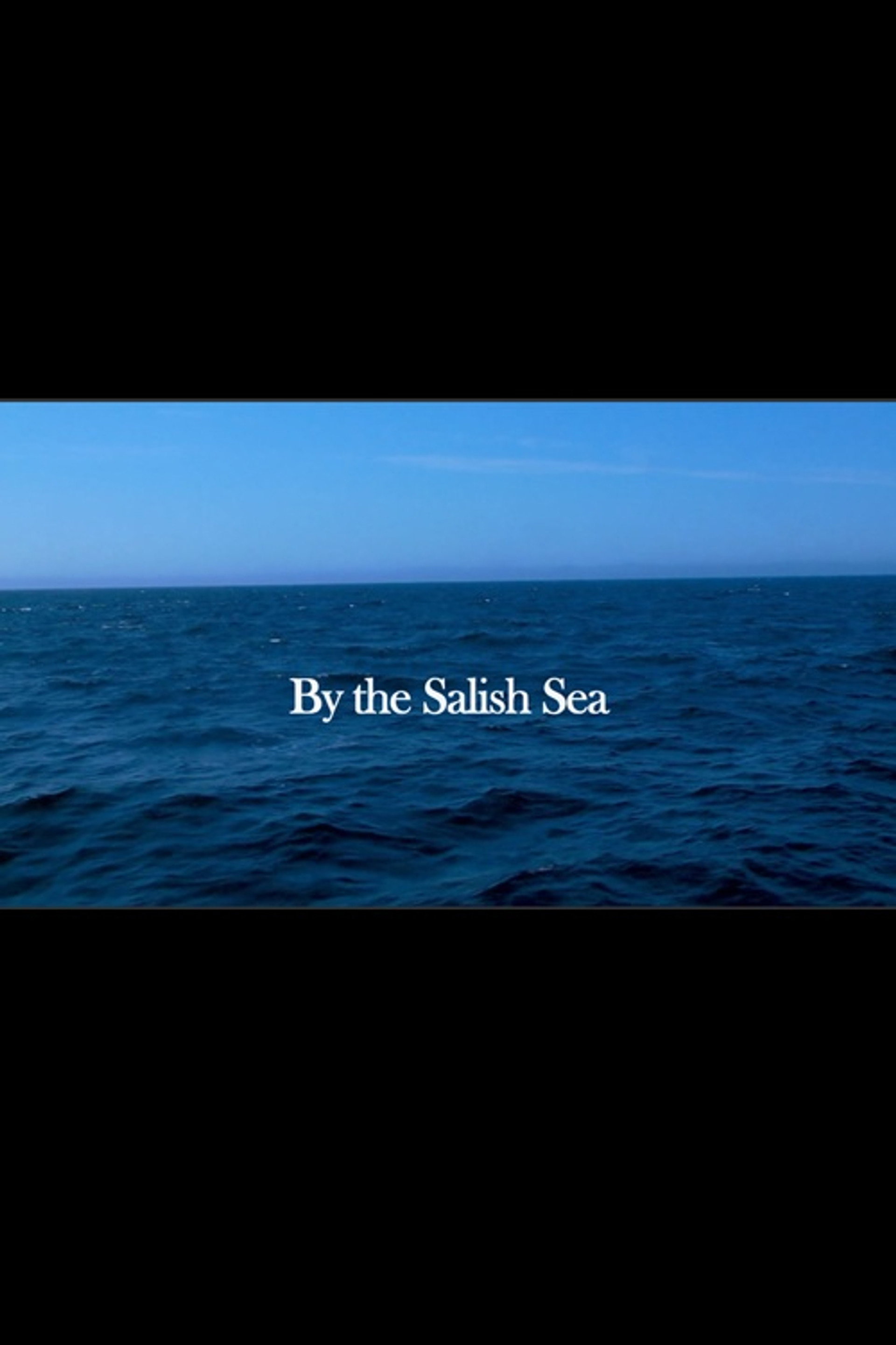 By the Salish Sea