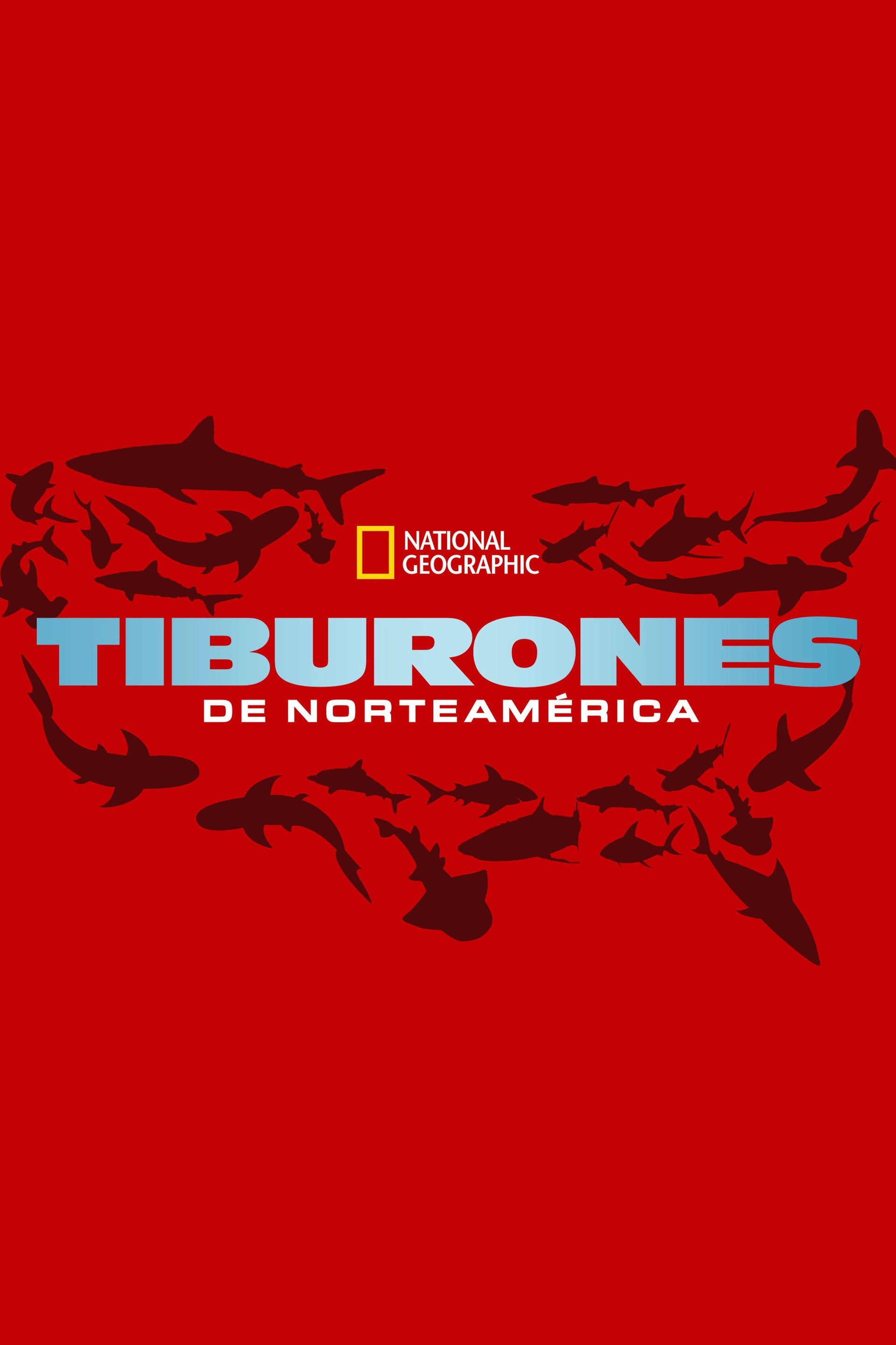 United Sharks of America