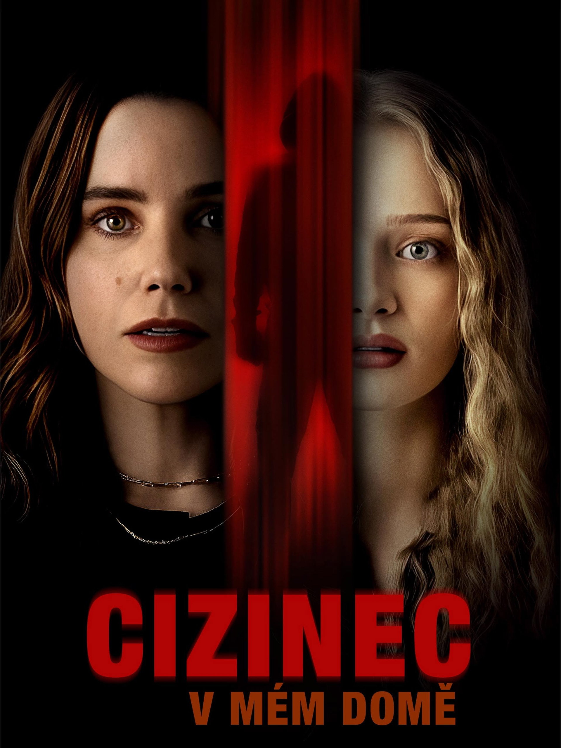 Cizinec v mém domě
