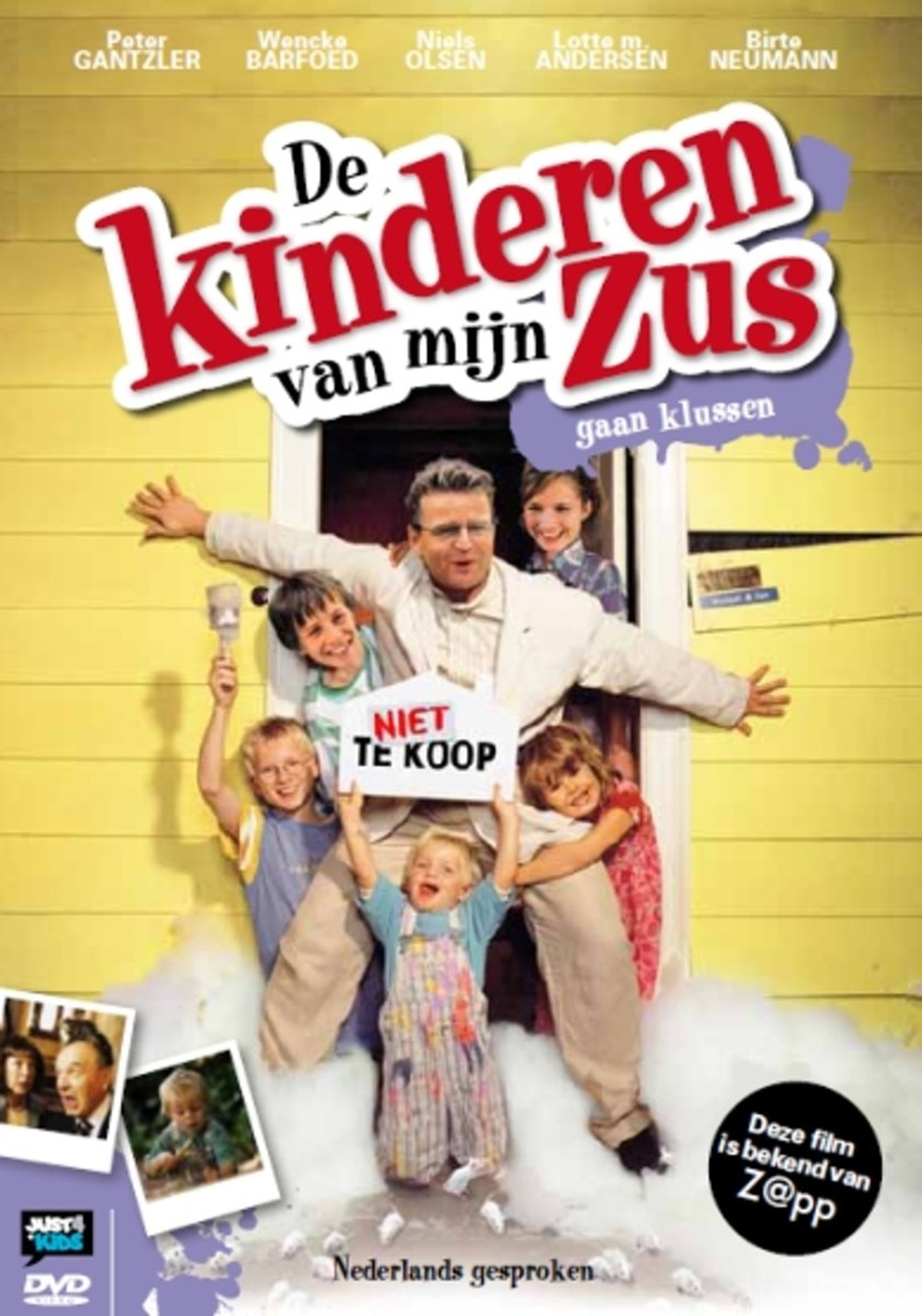De kinderen van mijn zus gaan klussen