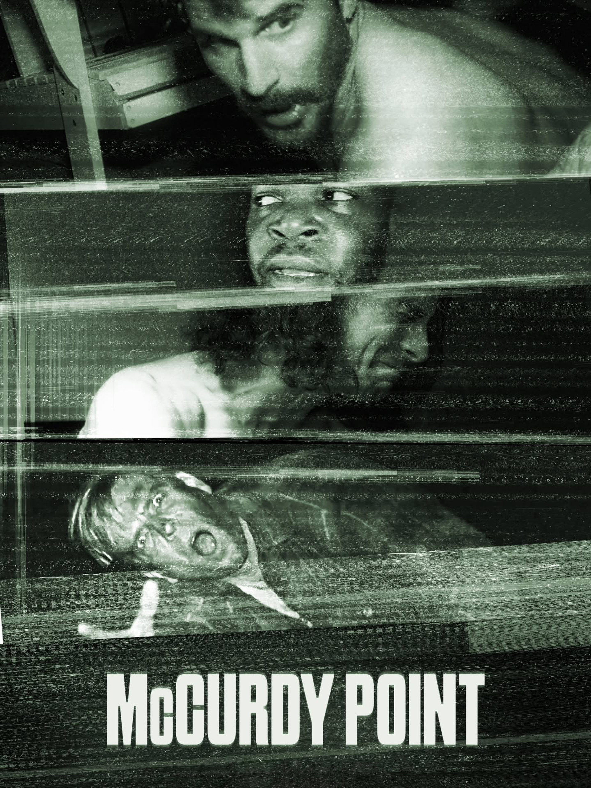 McCurdy Point