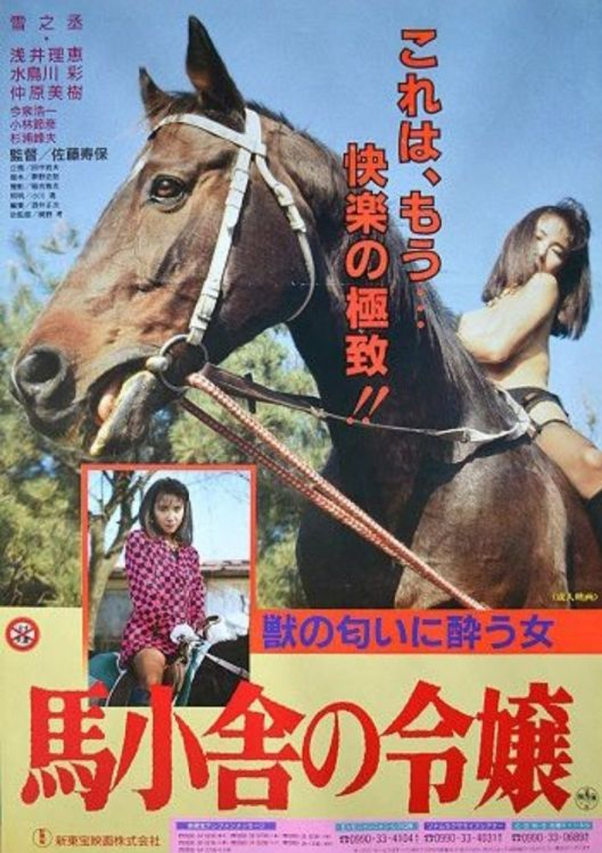 Neigh Means Yes