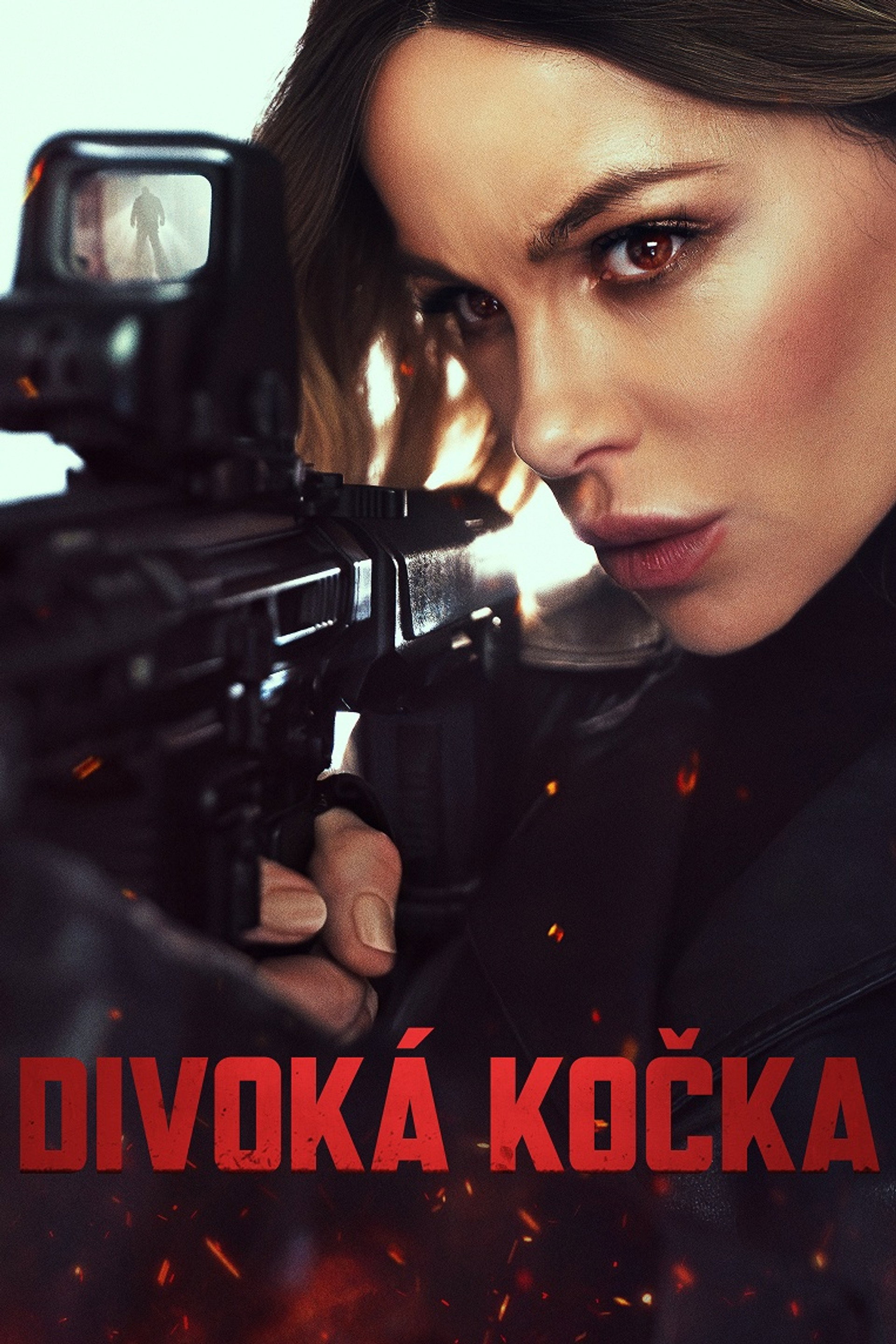 Divoká kočka