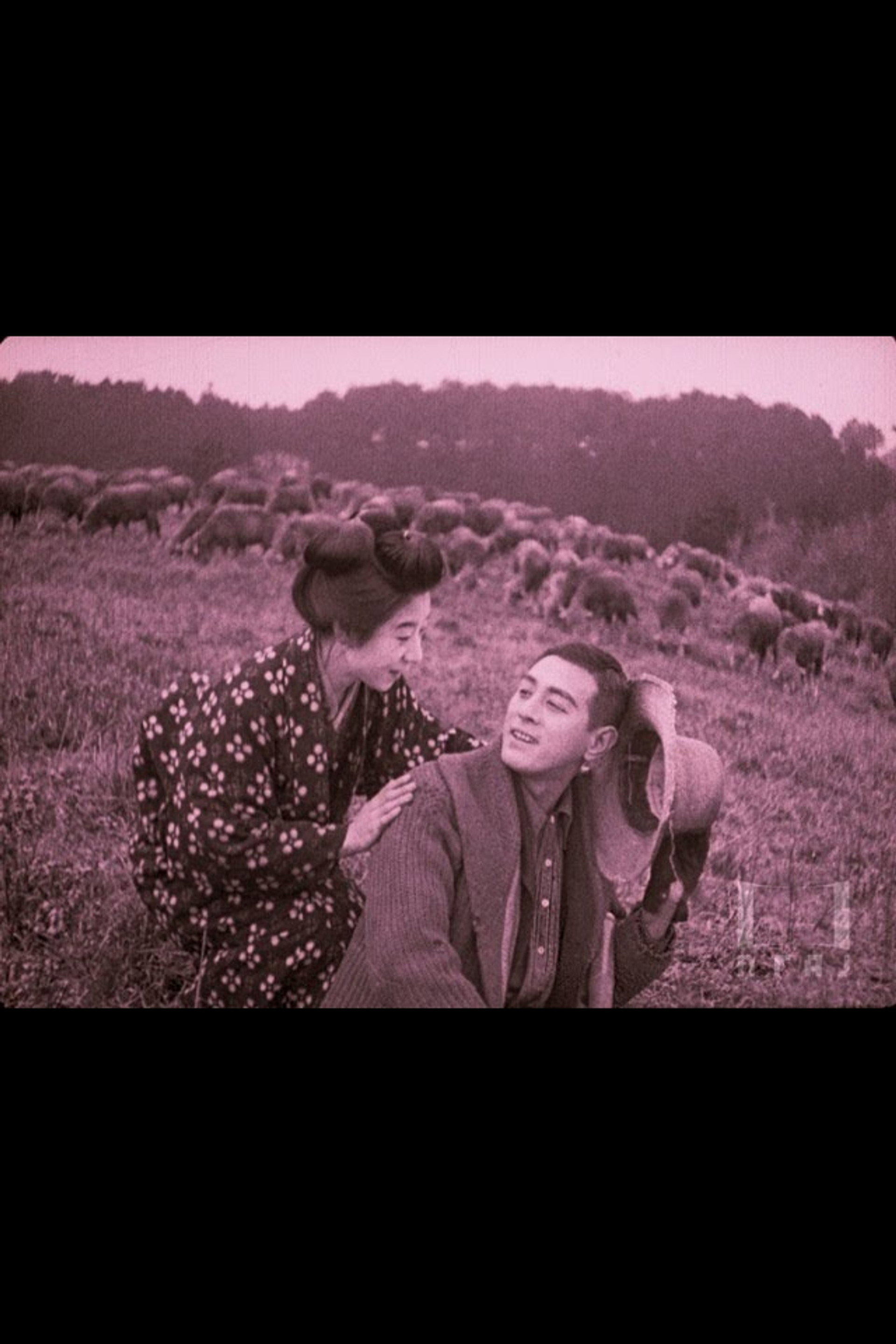 小羊