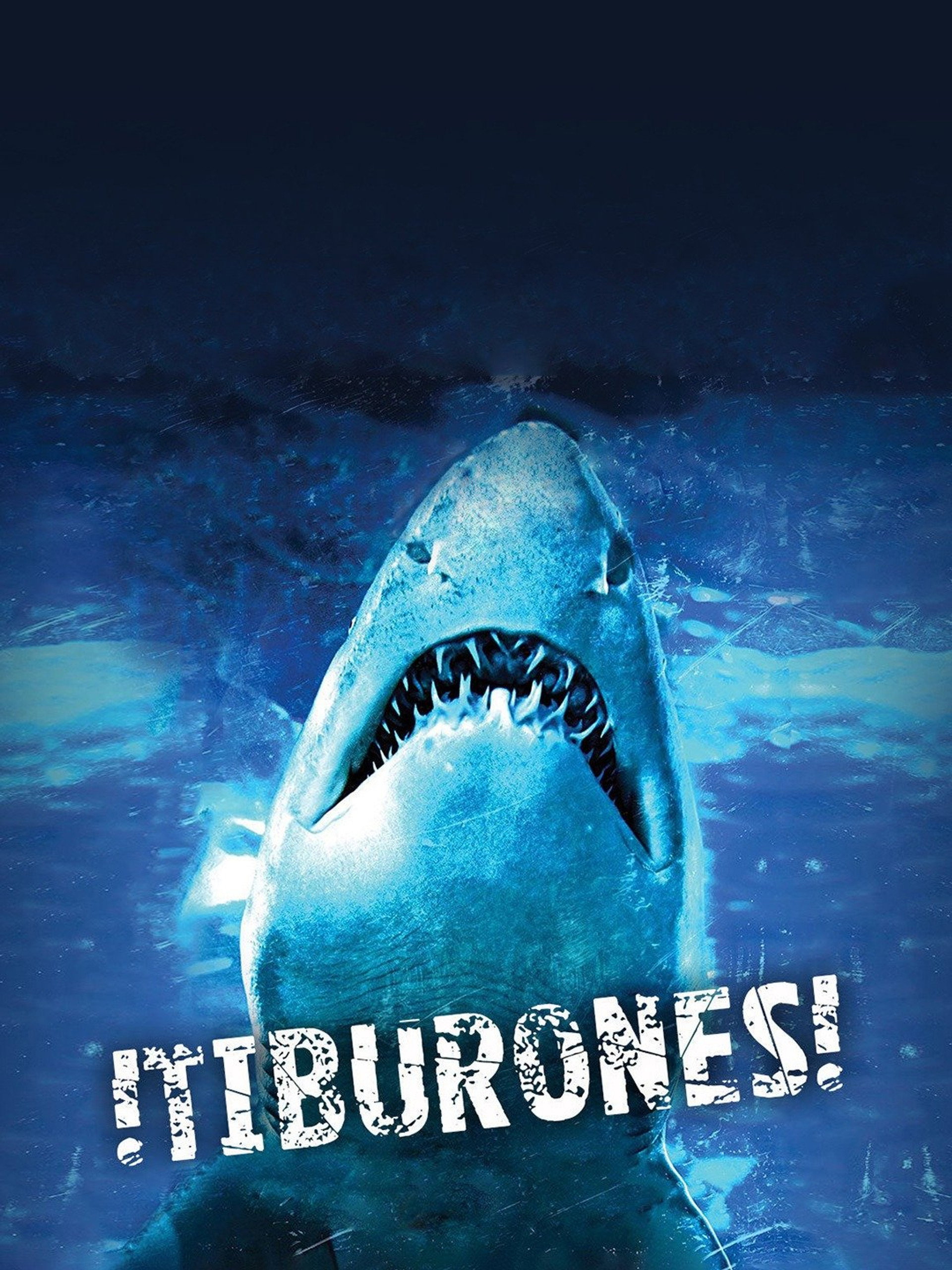 Dam Sharks!
