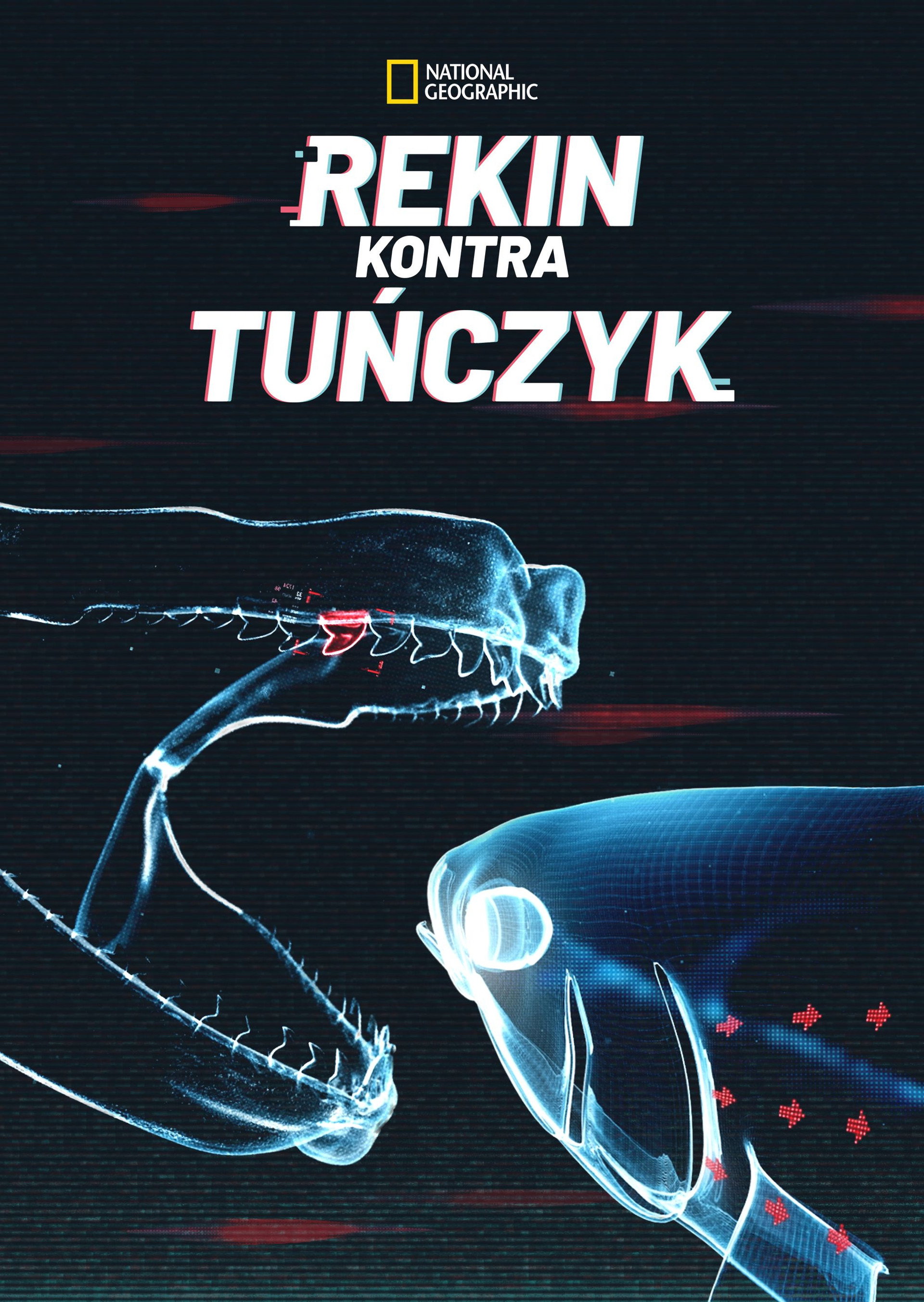 Rekin kontra tuńczyk