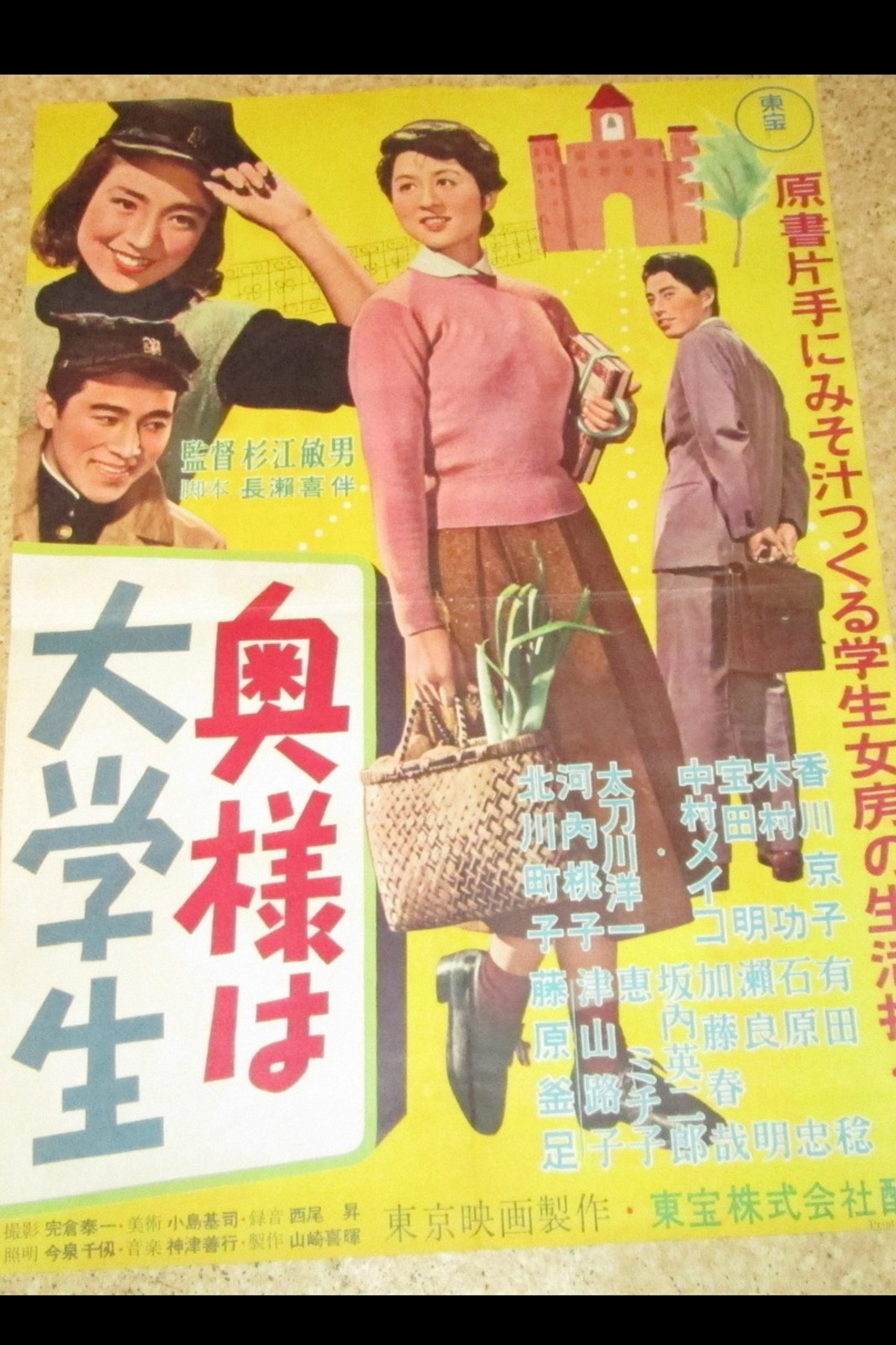 奥様は大学生