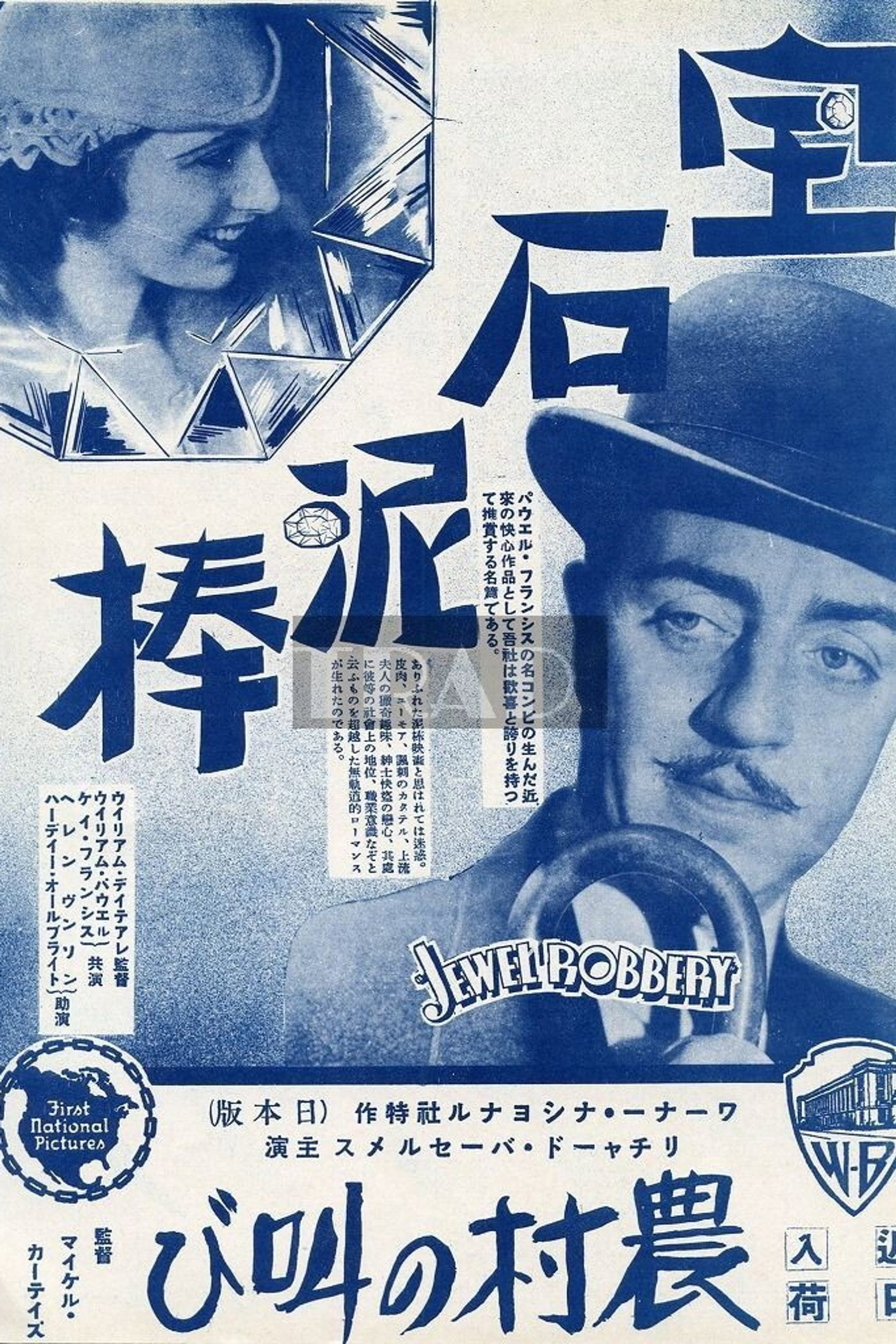 宝石泥棒
