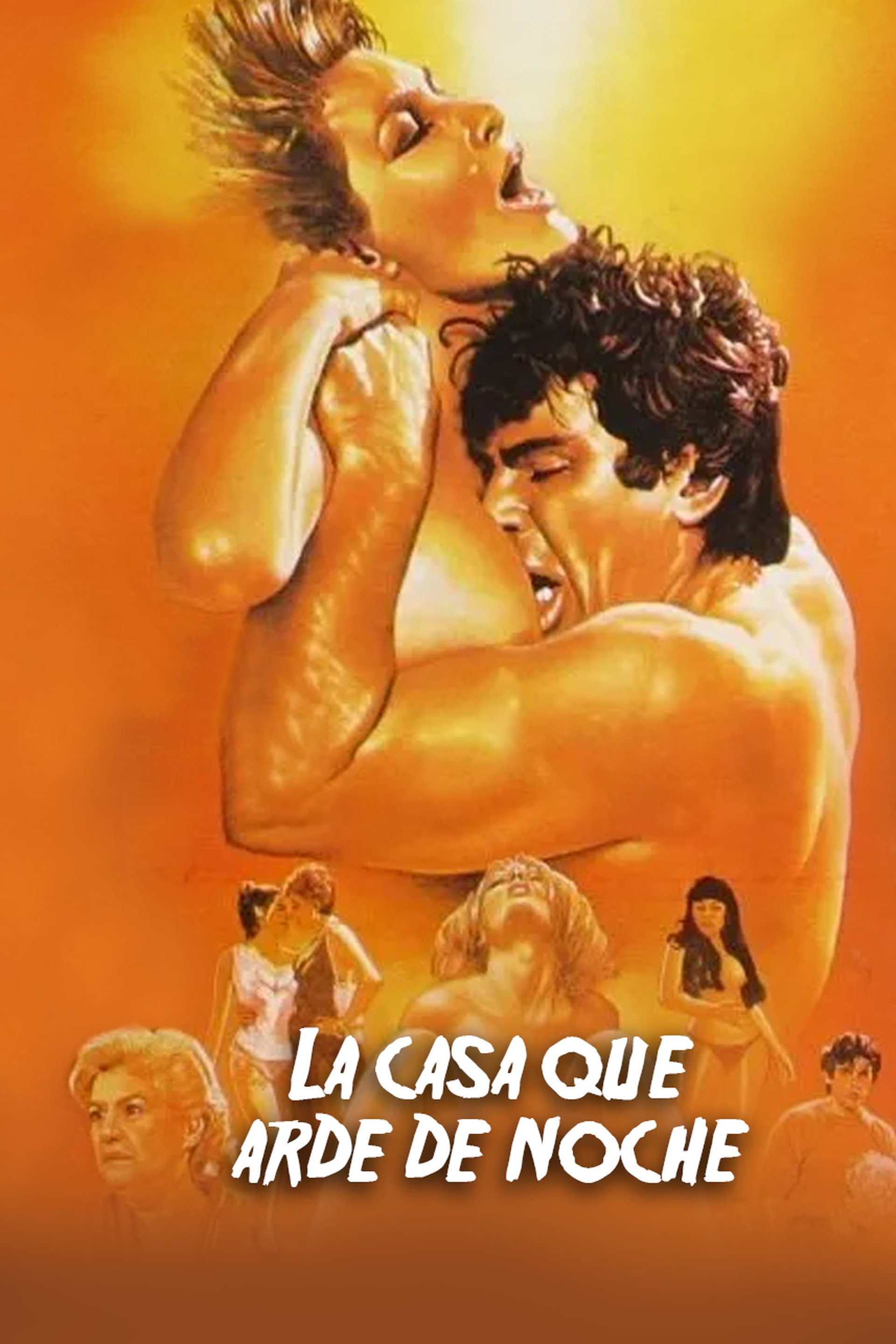 La casa que arde de noche