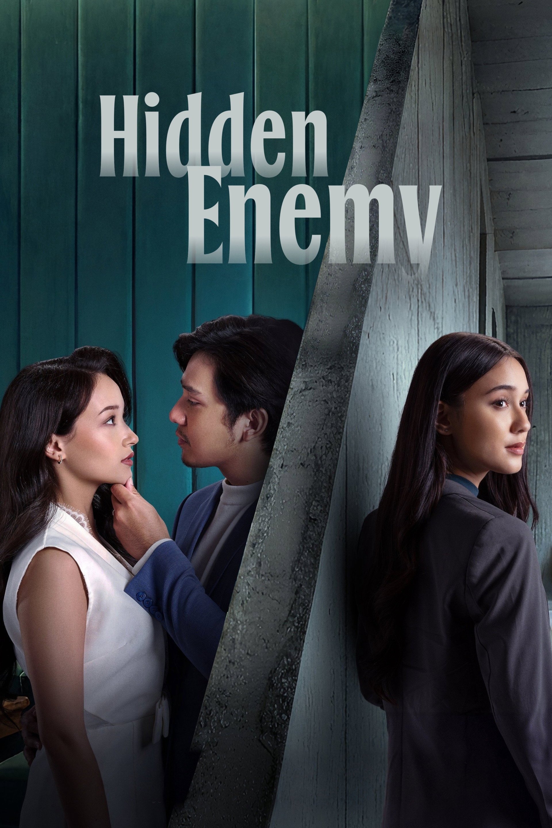 Hidden Enemy
