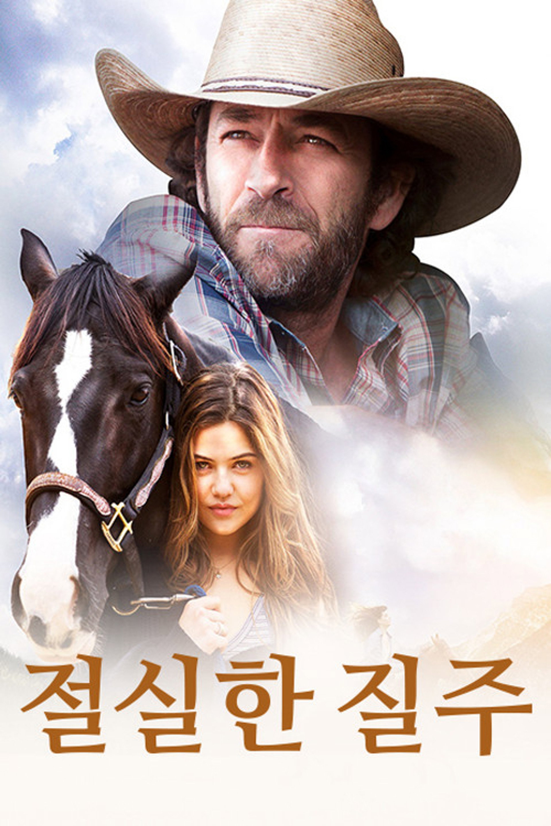 절실한 질주