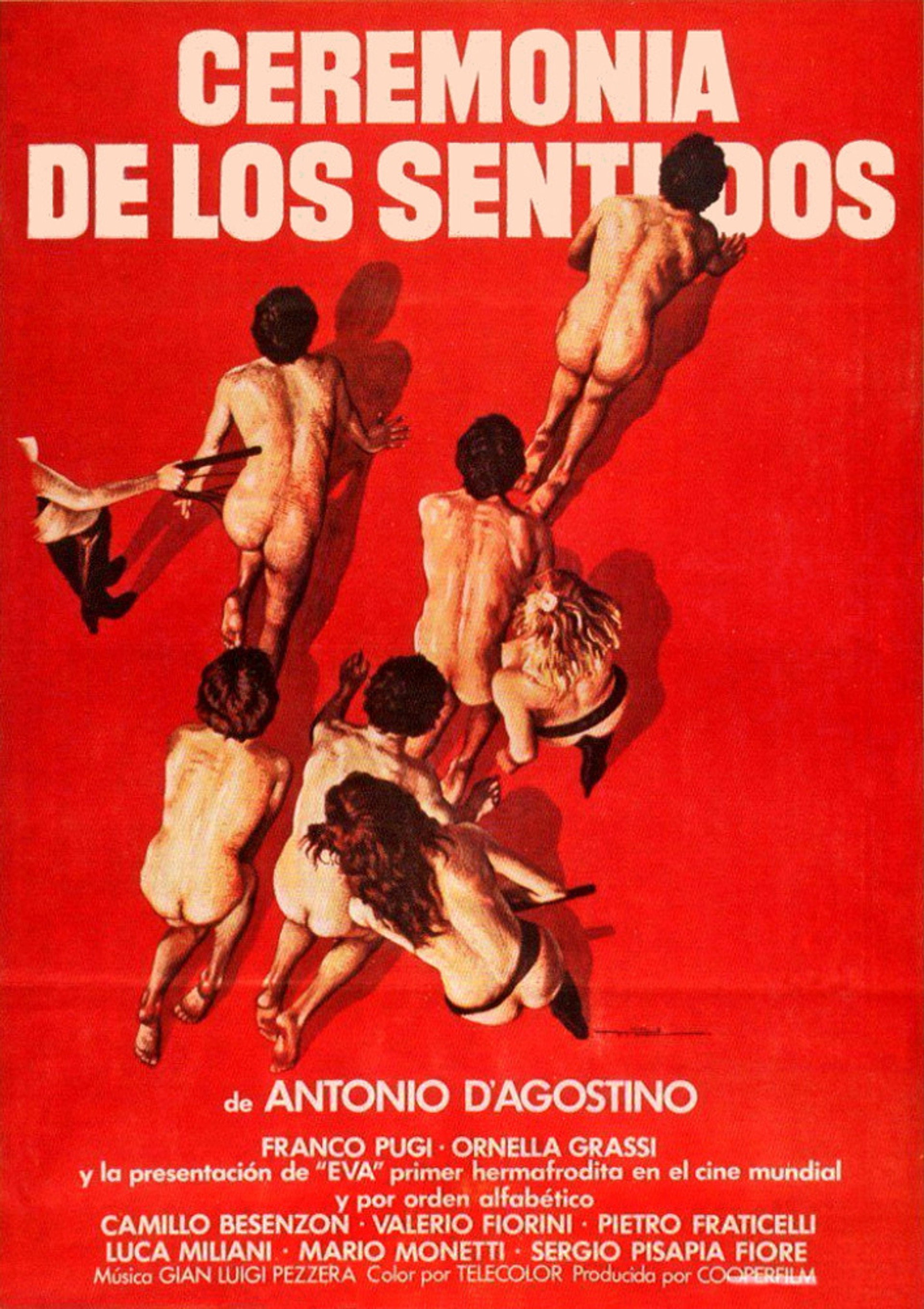 Ceremonia de los sentidos