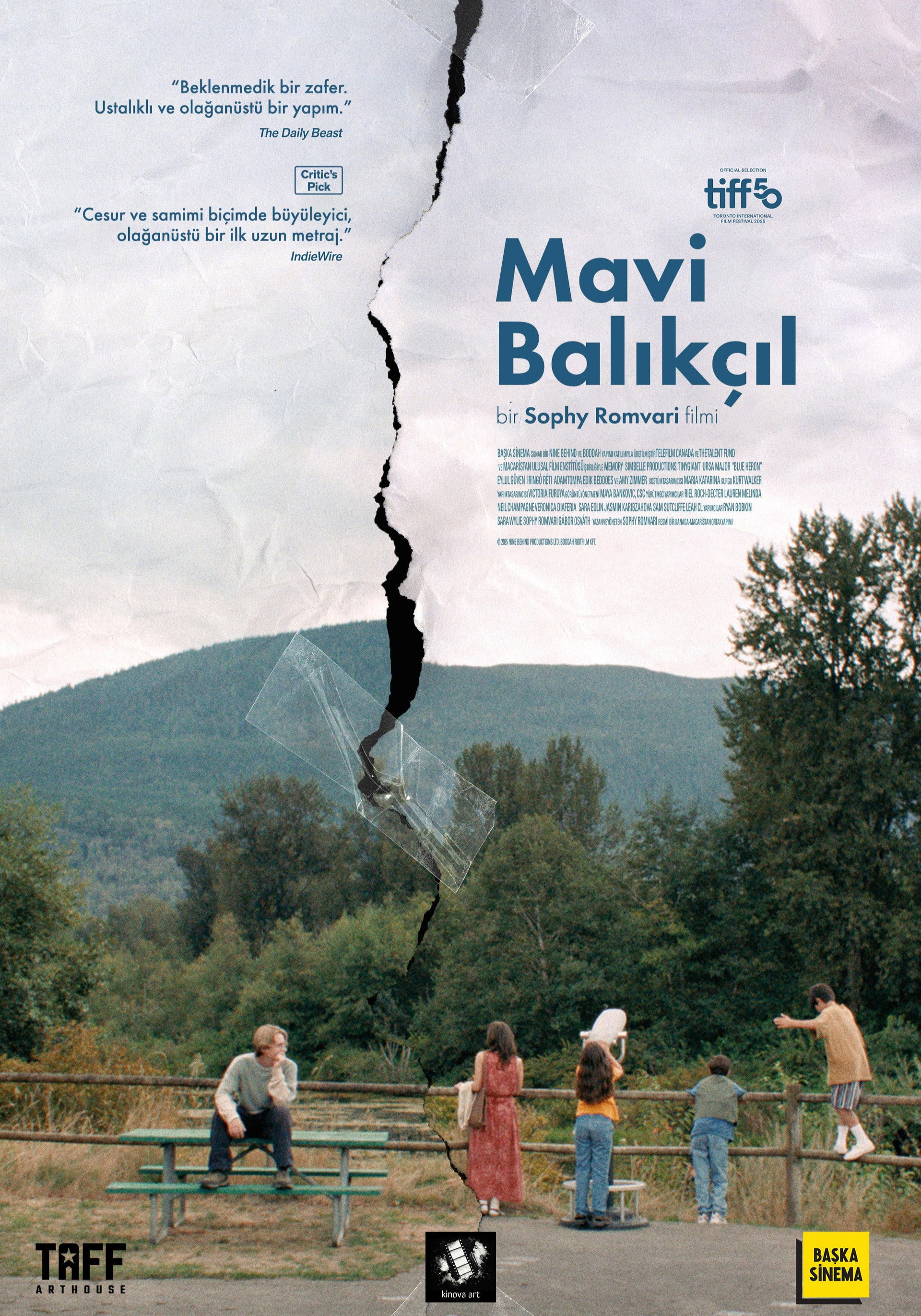 Mavi Balıkçıl