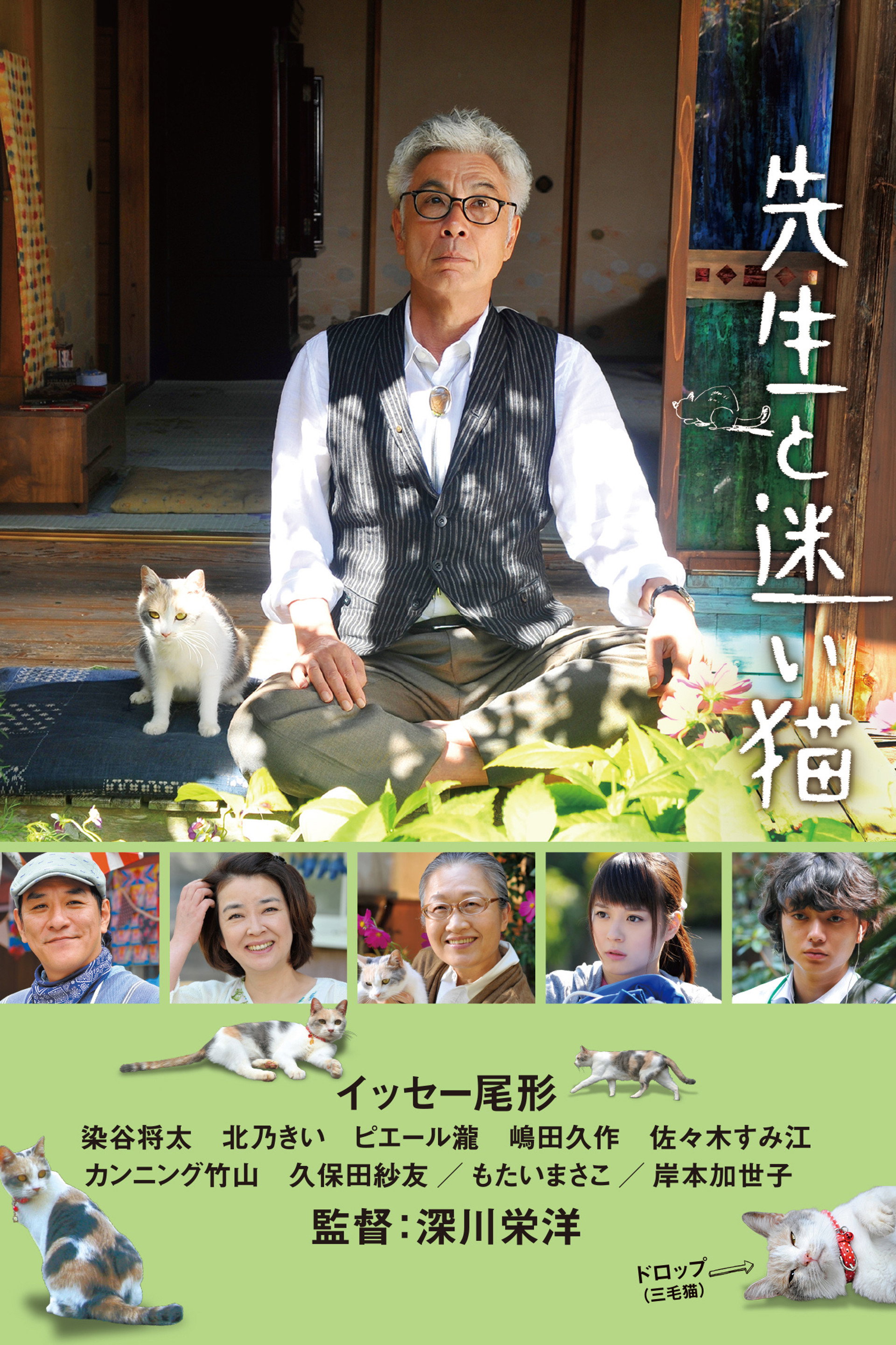 先生と迷い猫