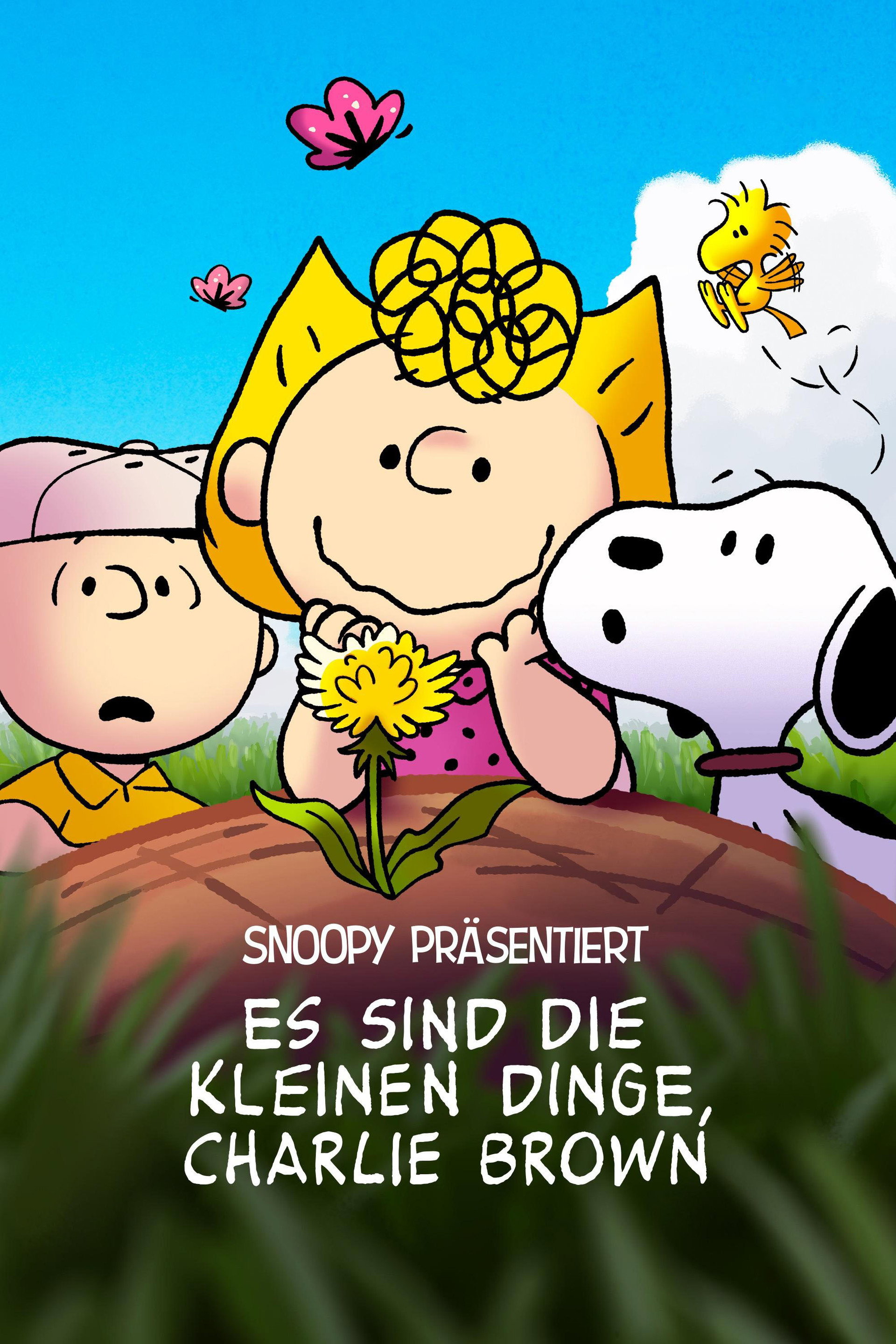 Snoopy präsentiert: Es sind die kleinen Dinge, Charlie Brown