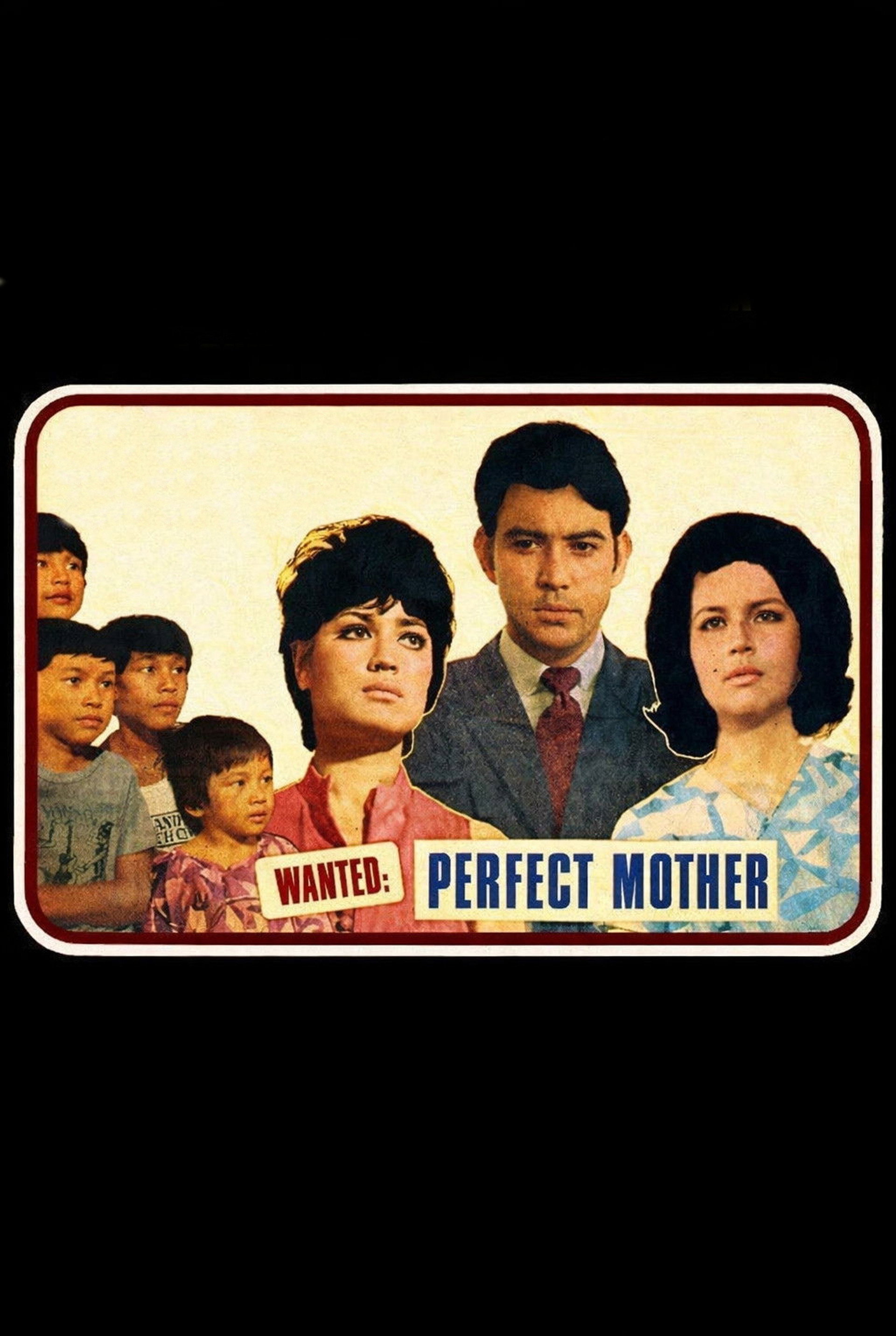 Wanted: Perfect Mother