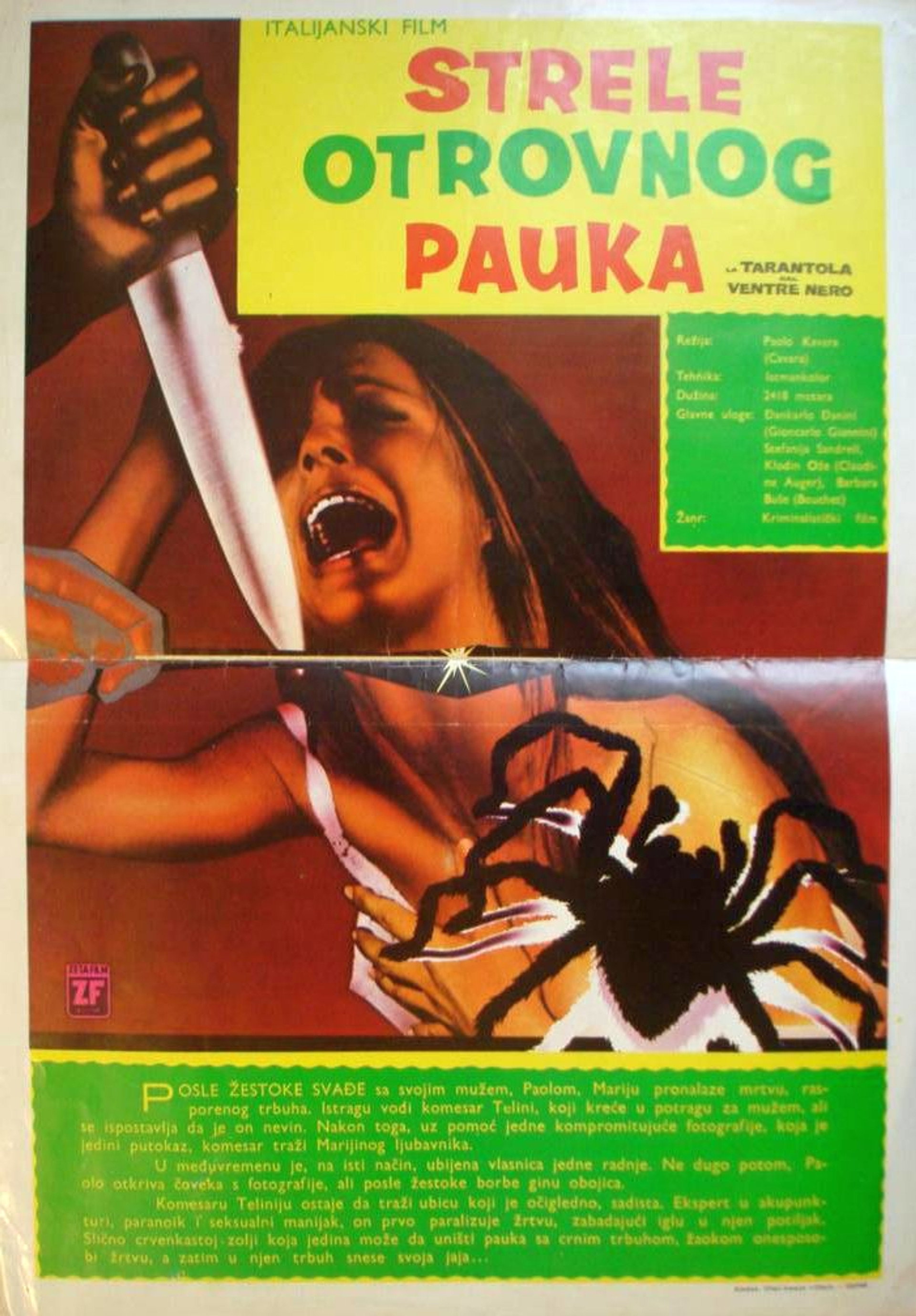 Czarny odwłok tarantuli