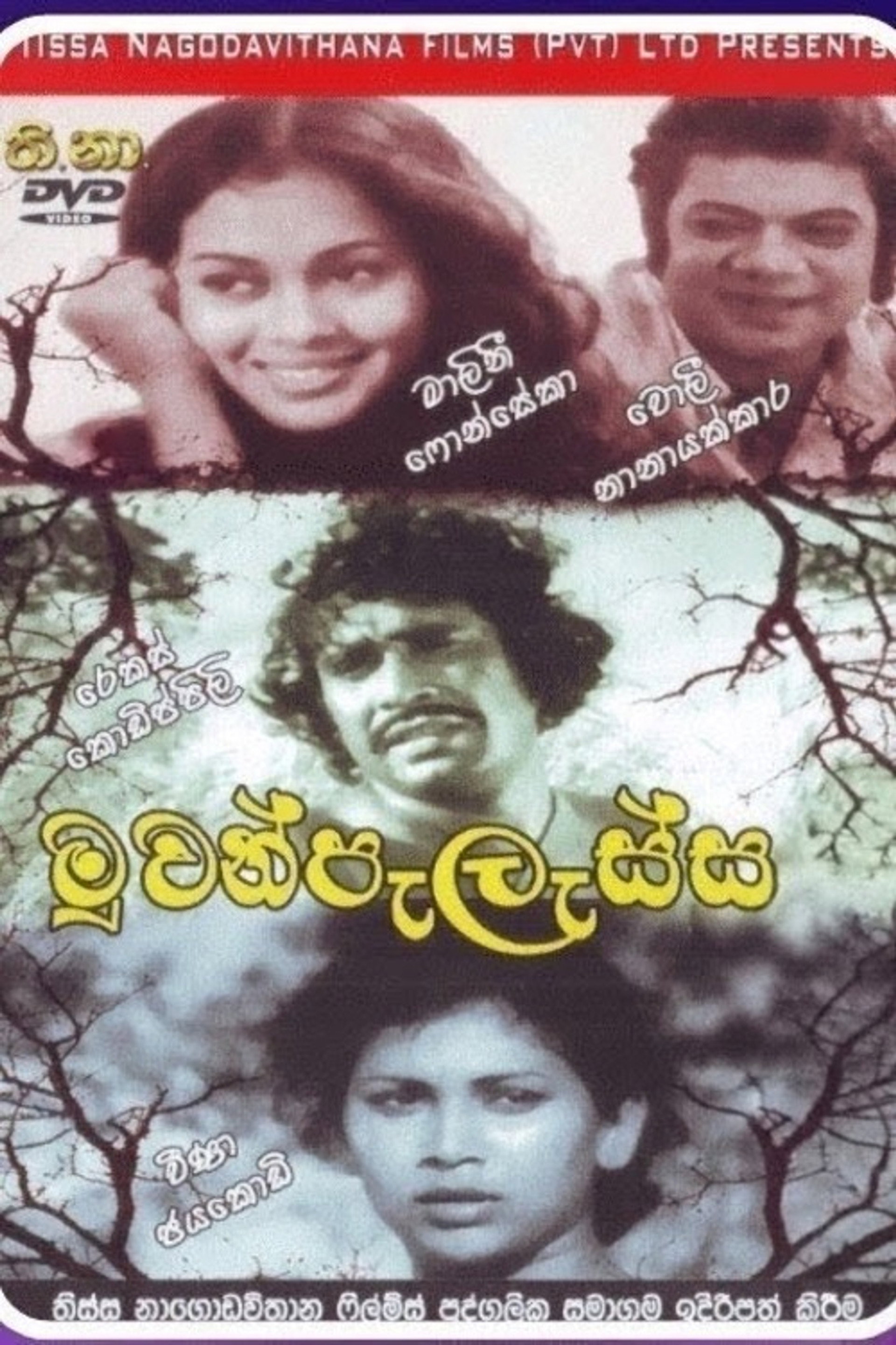 මුවන් පැලැස්ස