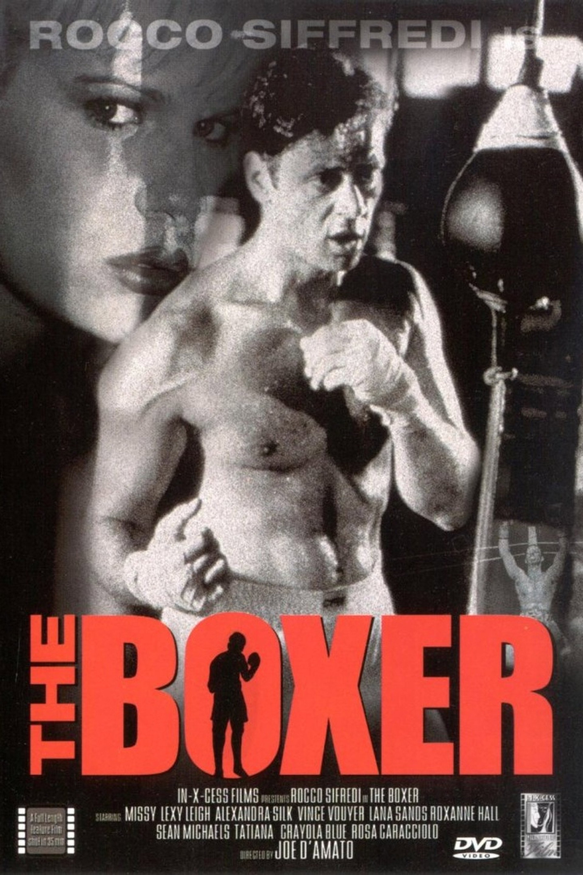 Rocco lo stallone italiano