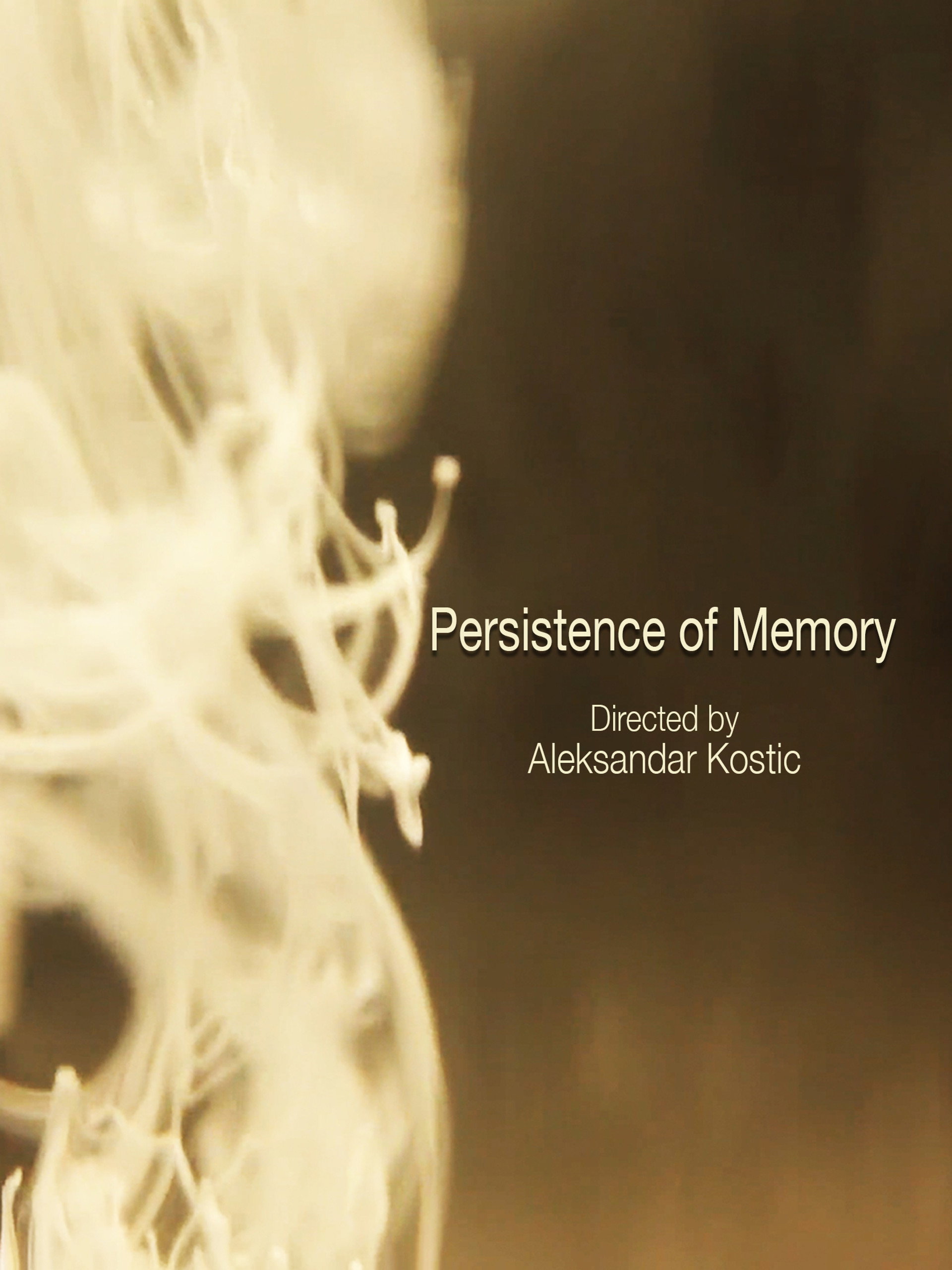 Persistence of Memory