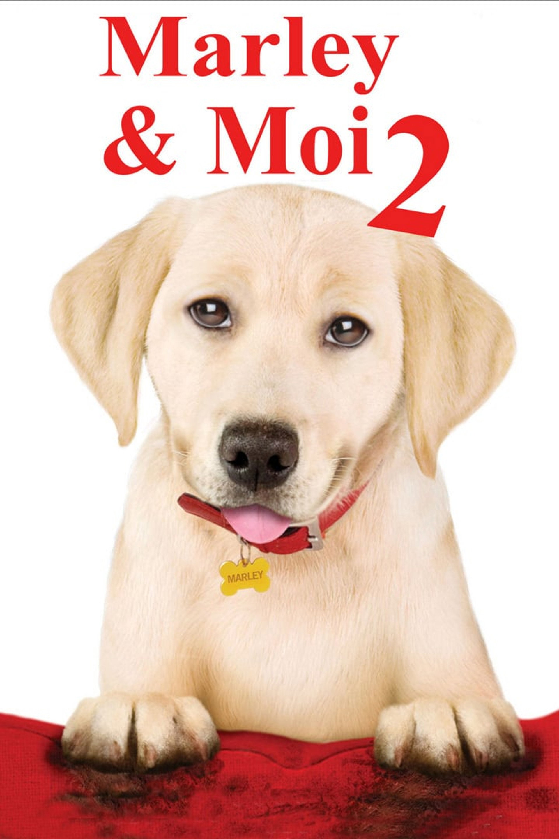 Marley & moi 2