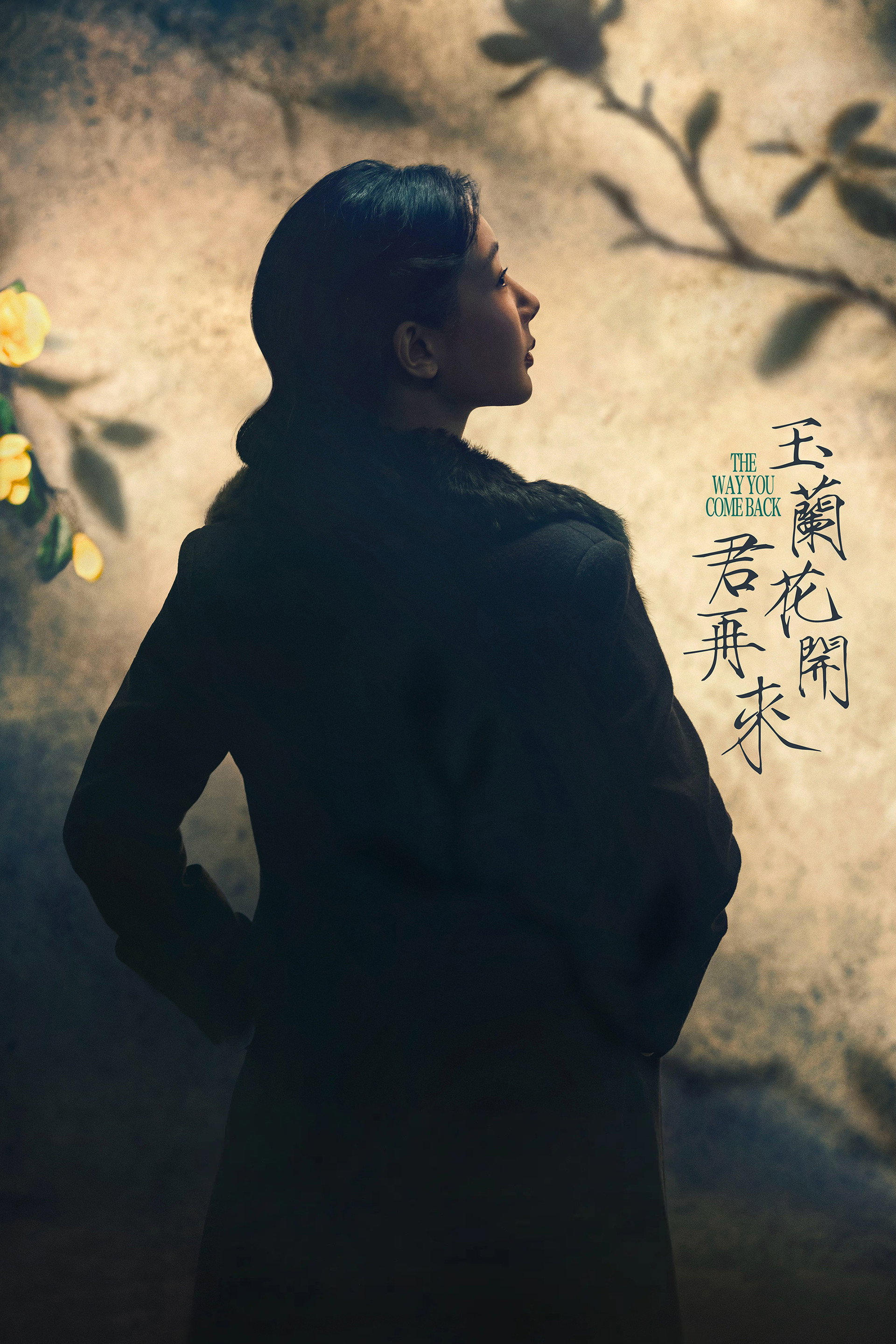 玉兰花开君再来