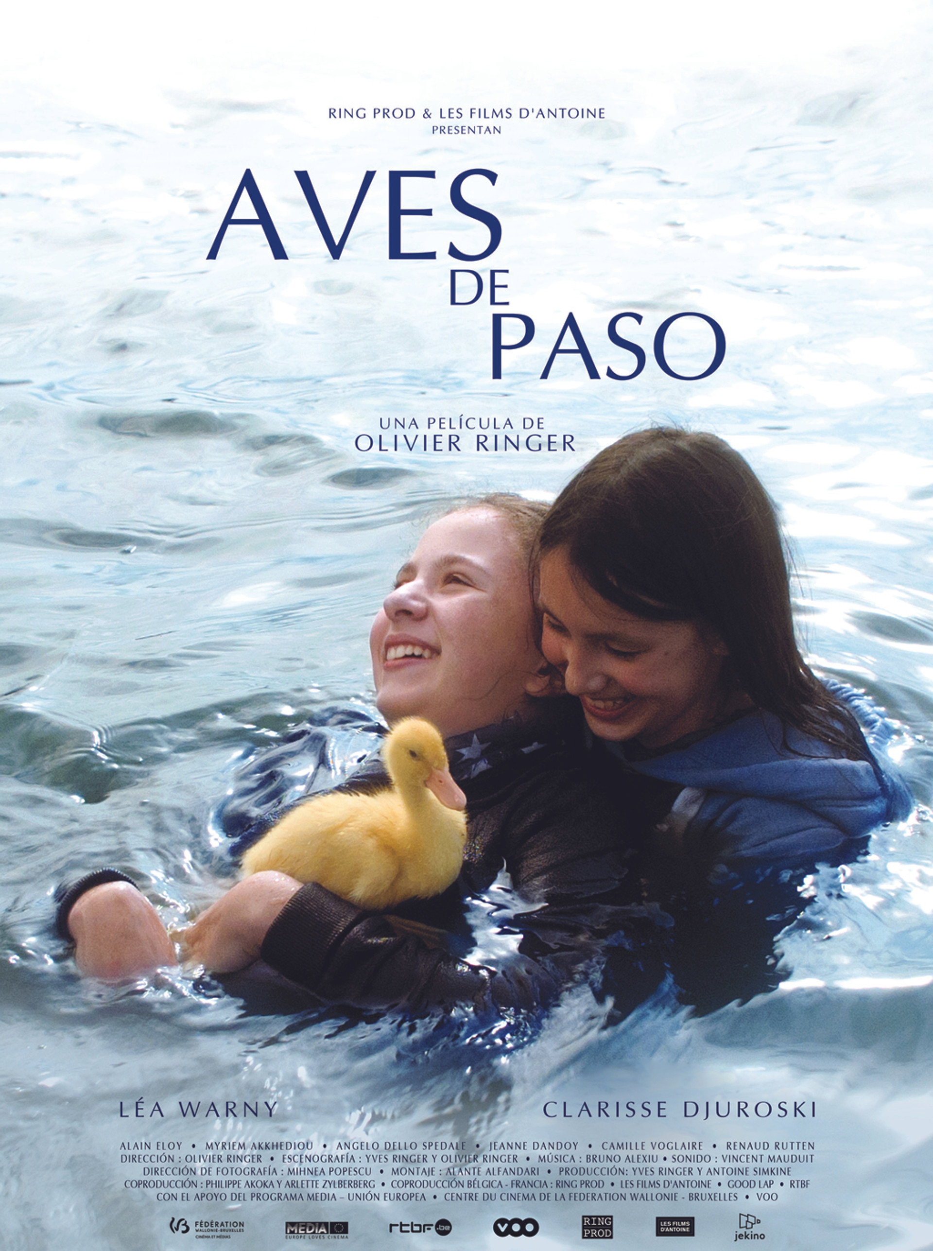 Aves de paso