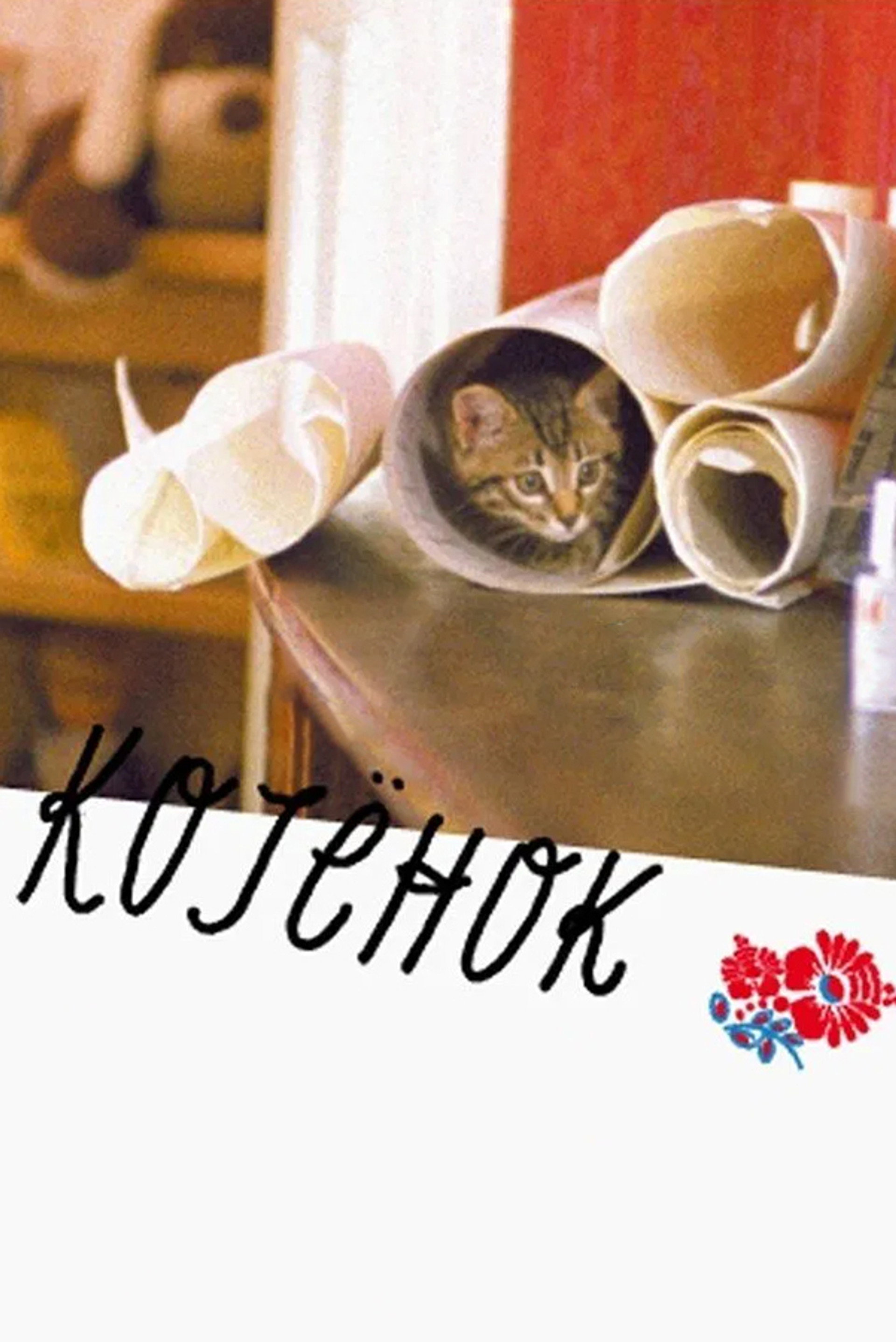 Котёнок