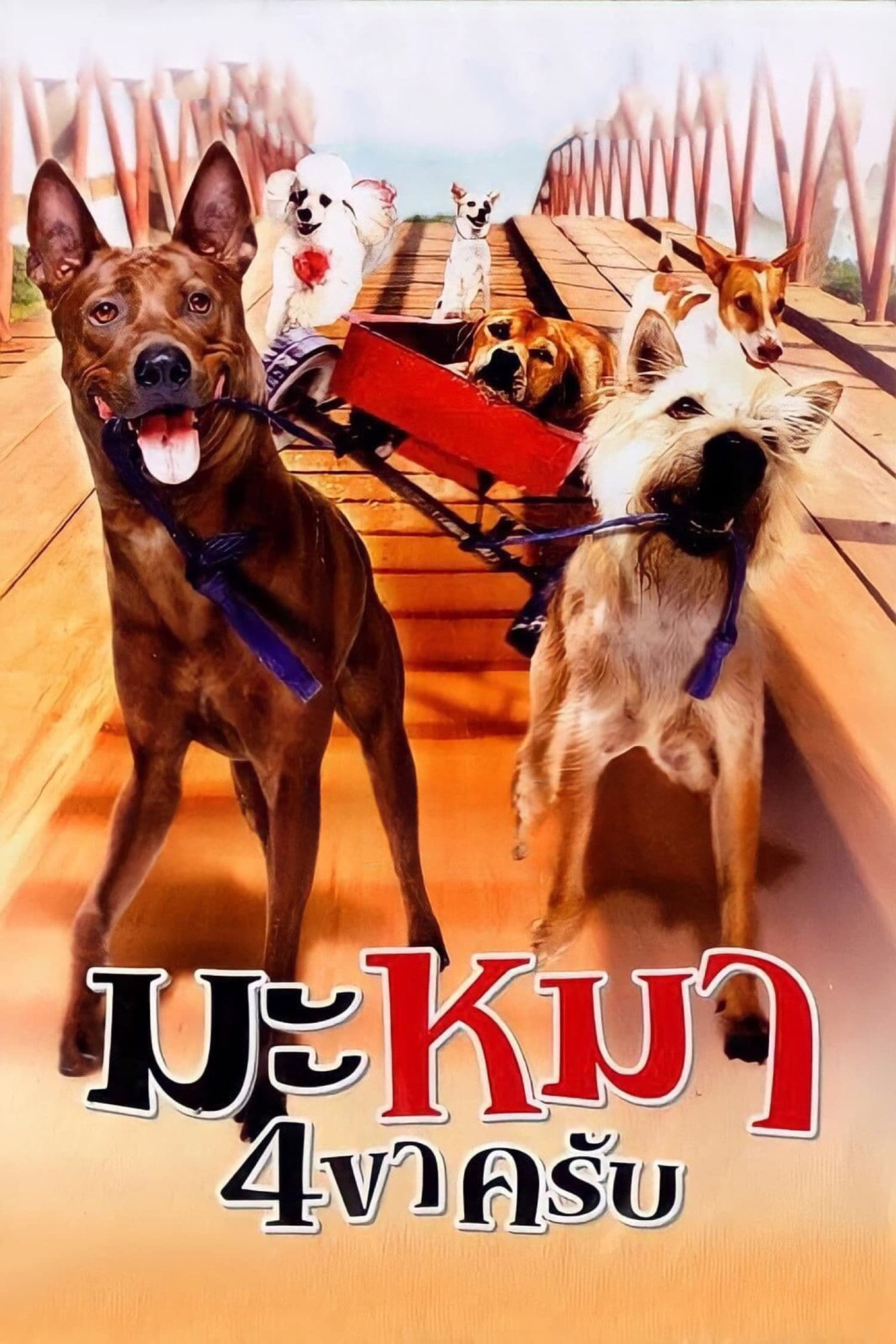 Gang de chiens