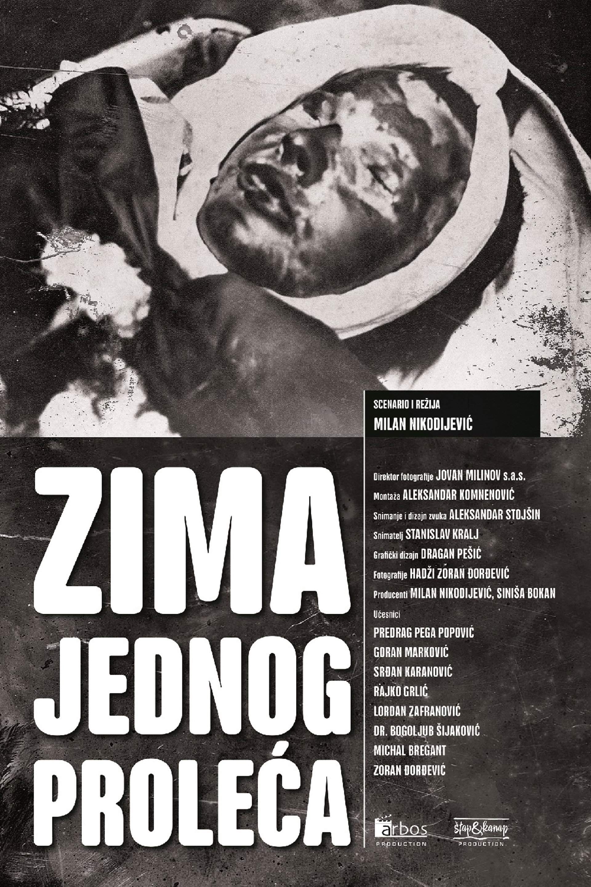 Zima jednog proleća