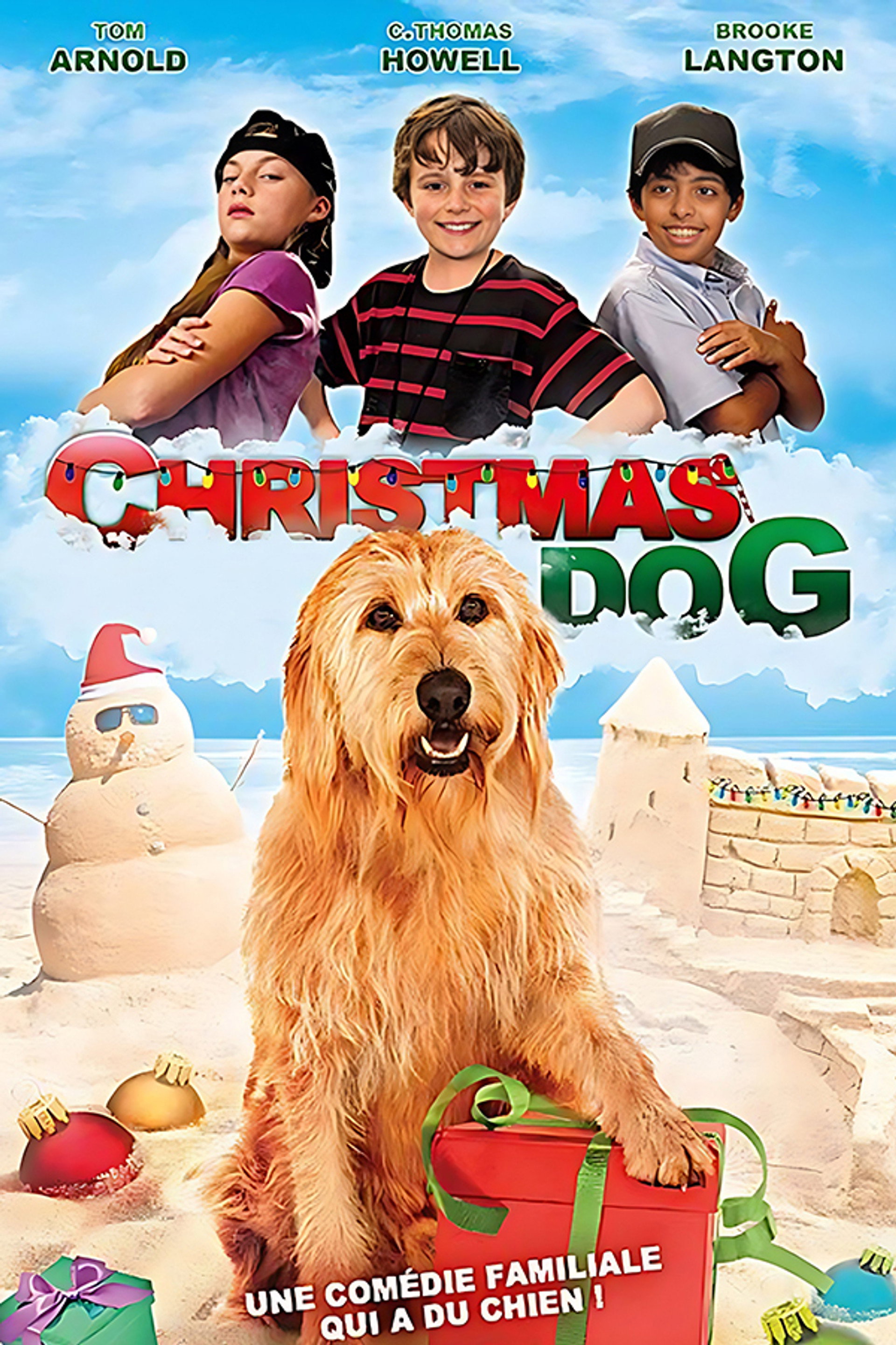 Christmas dog