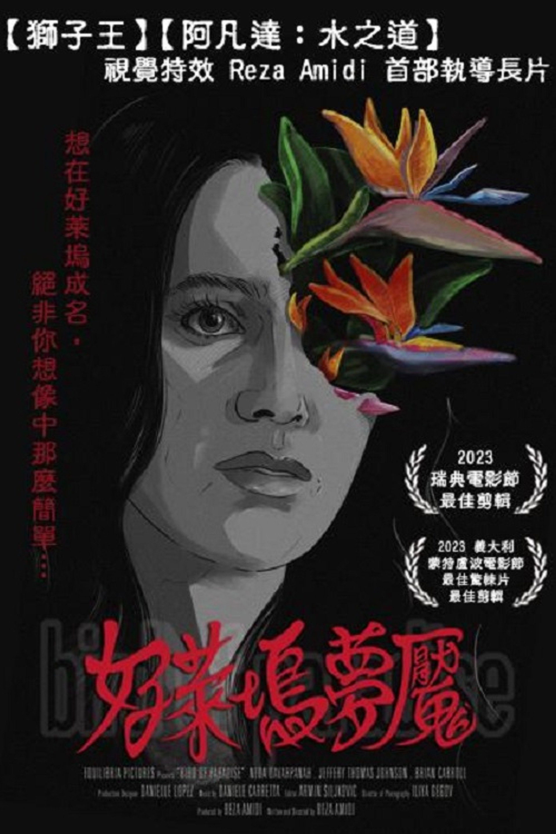 Bird of Paradise