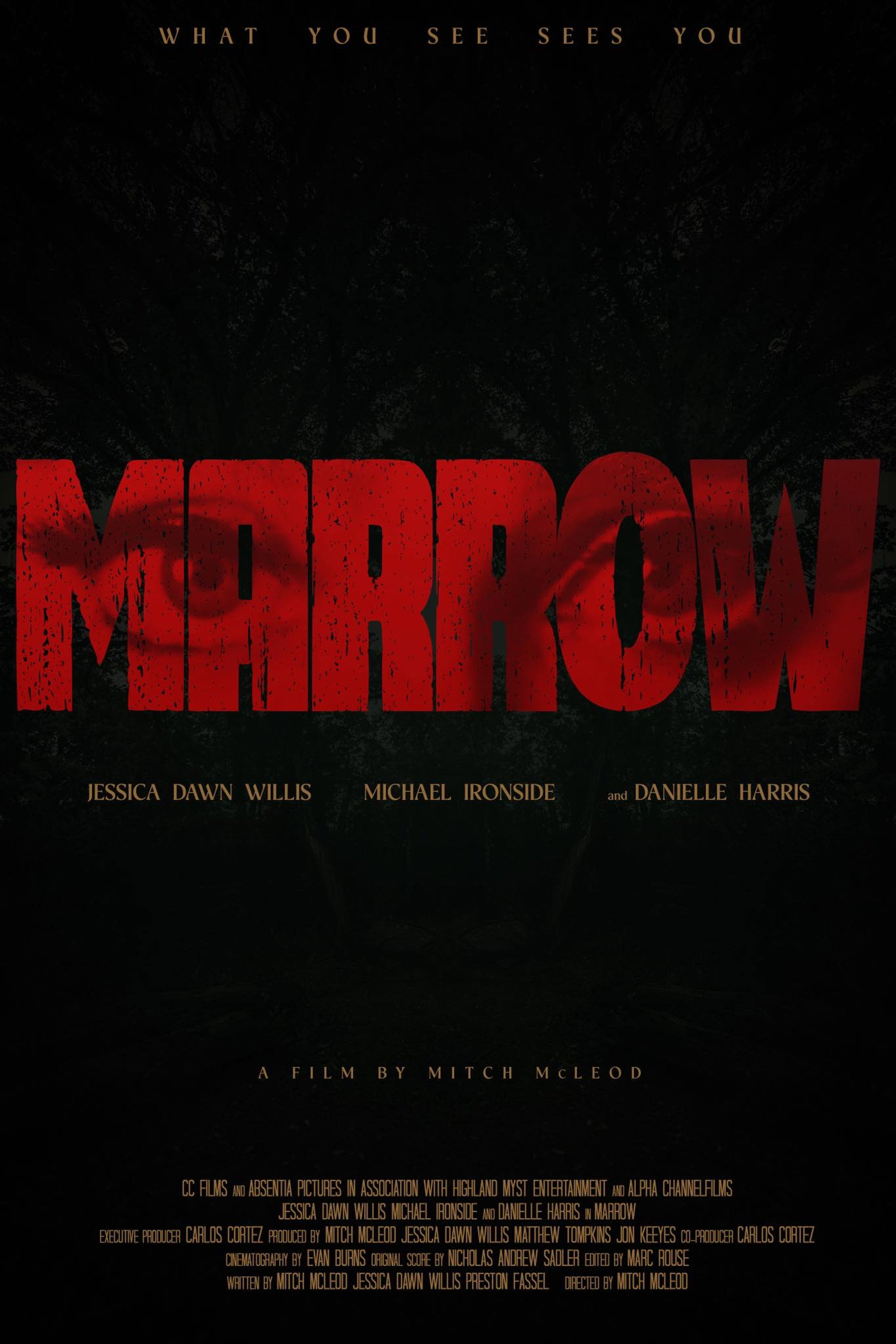 Marrow