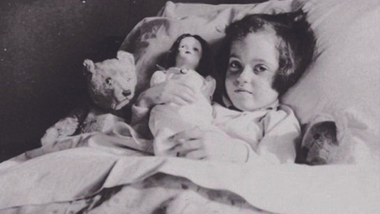 Ydessa, the Bears and etc.