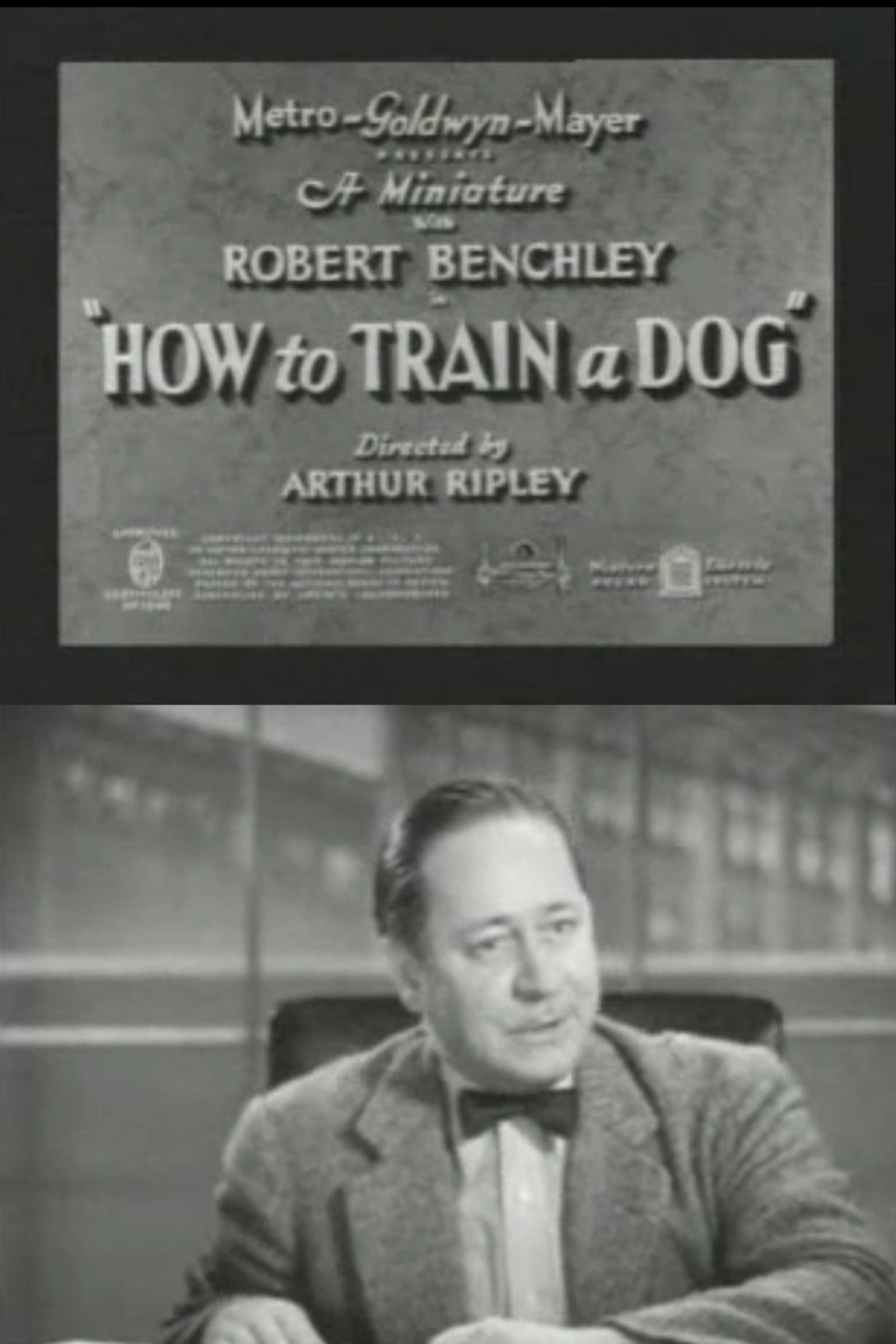 How to Train a Dog