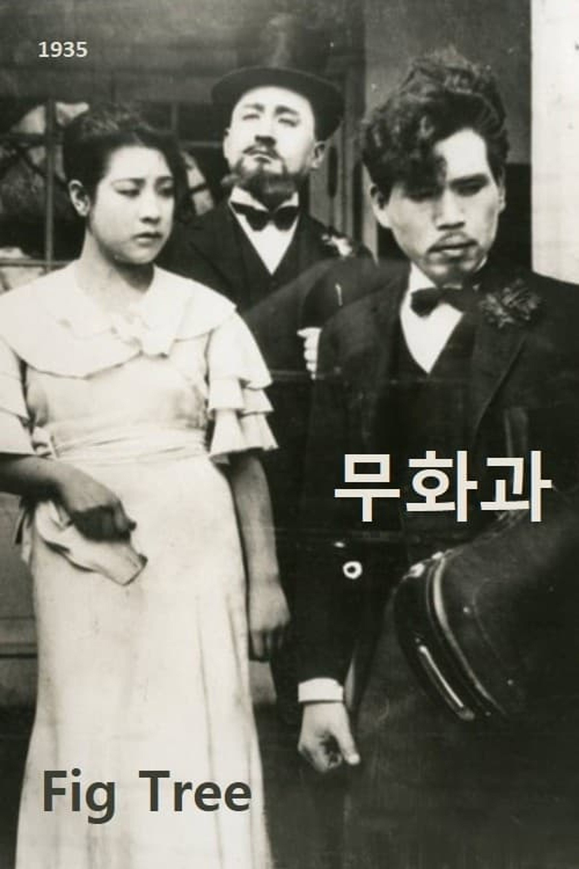 무화과
