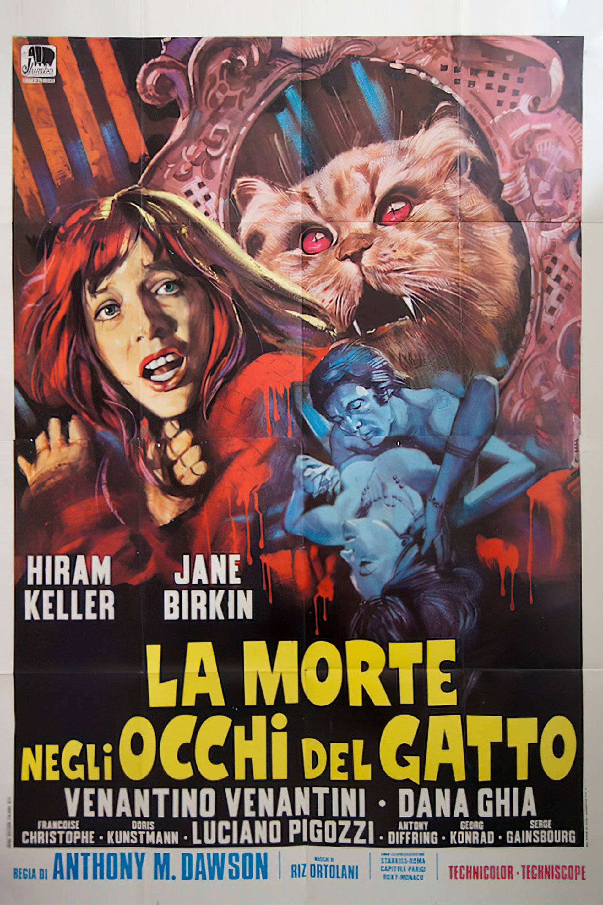 Siete muertos en el ojo del gato