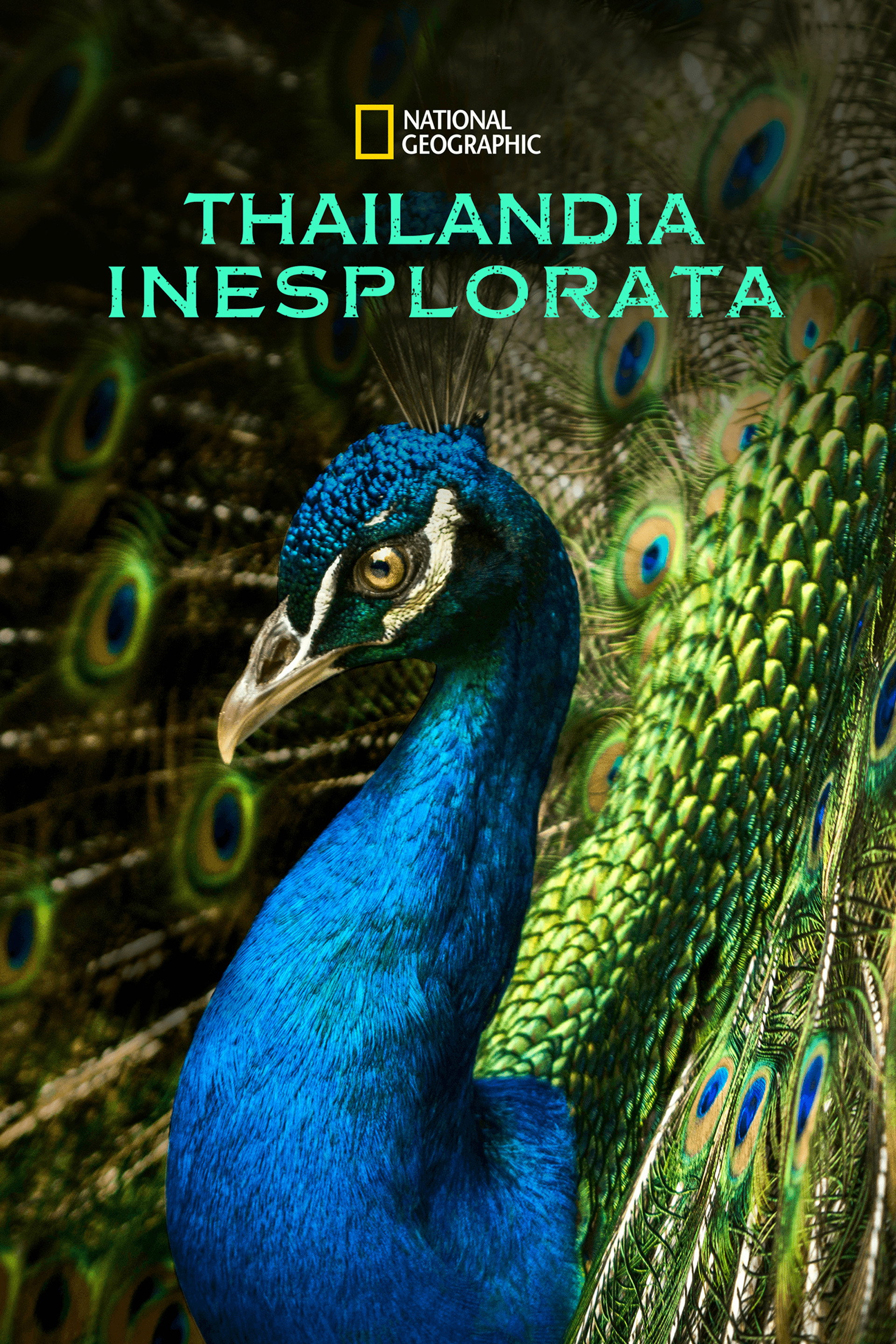 Thailandia Inesplorata