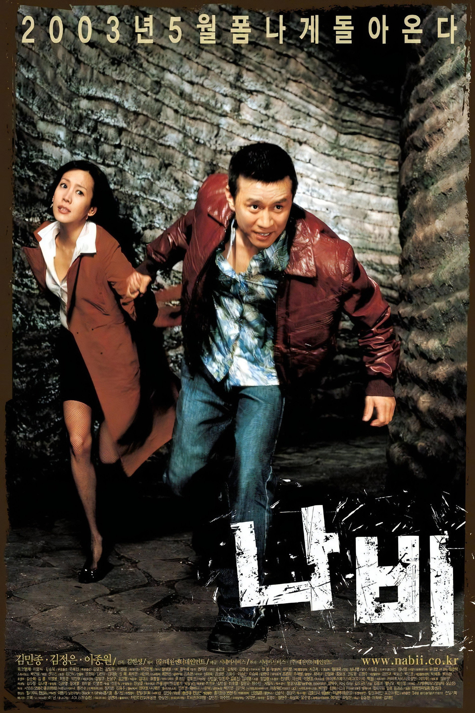 나비