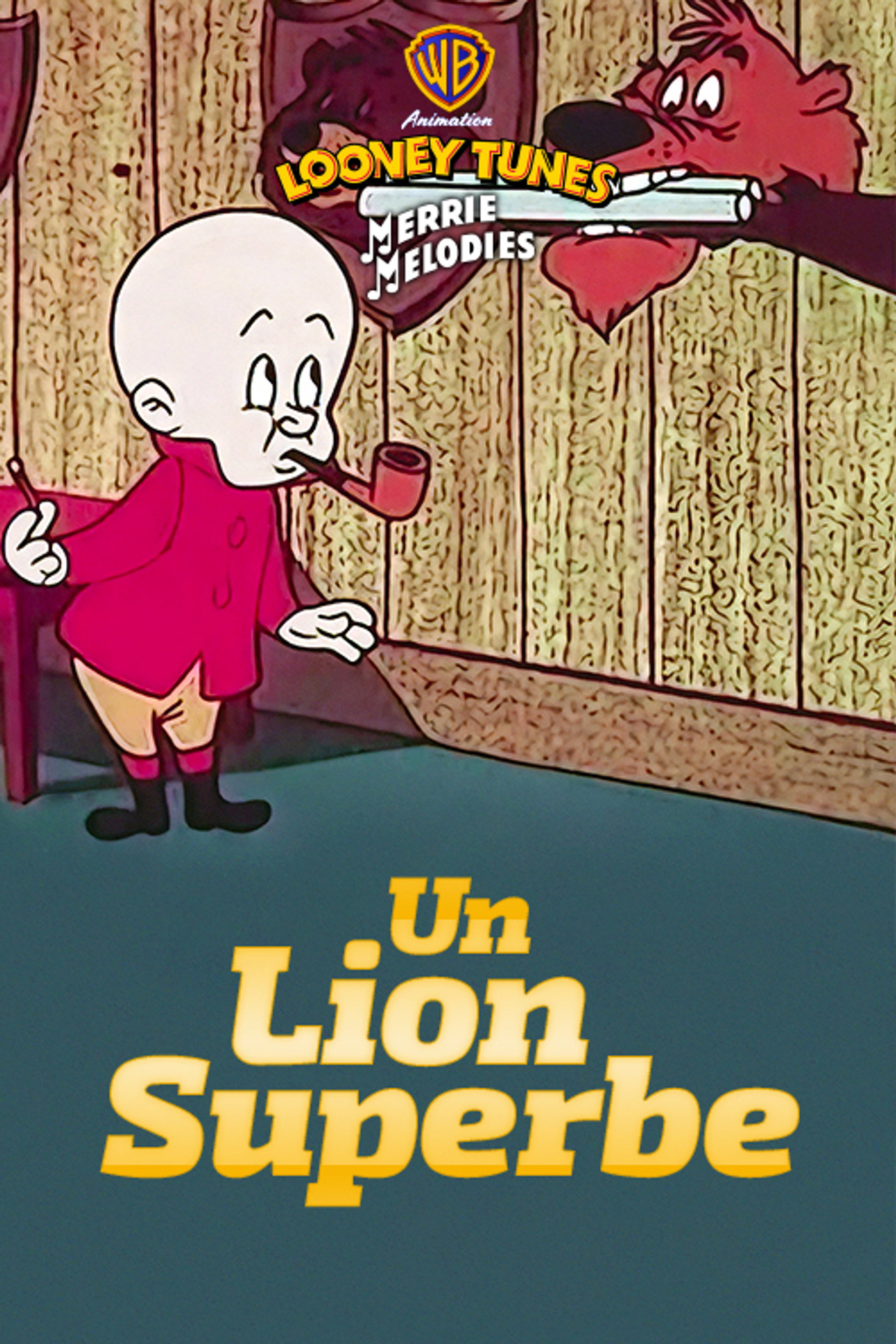 Un lion superbe