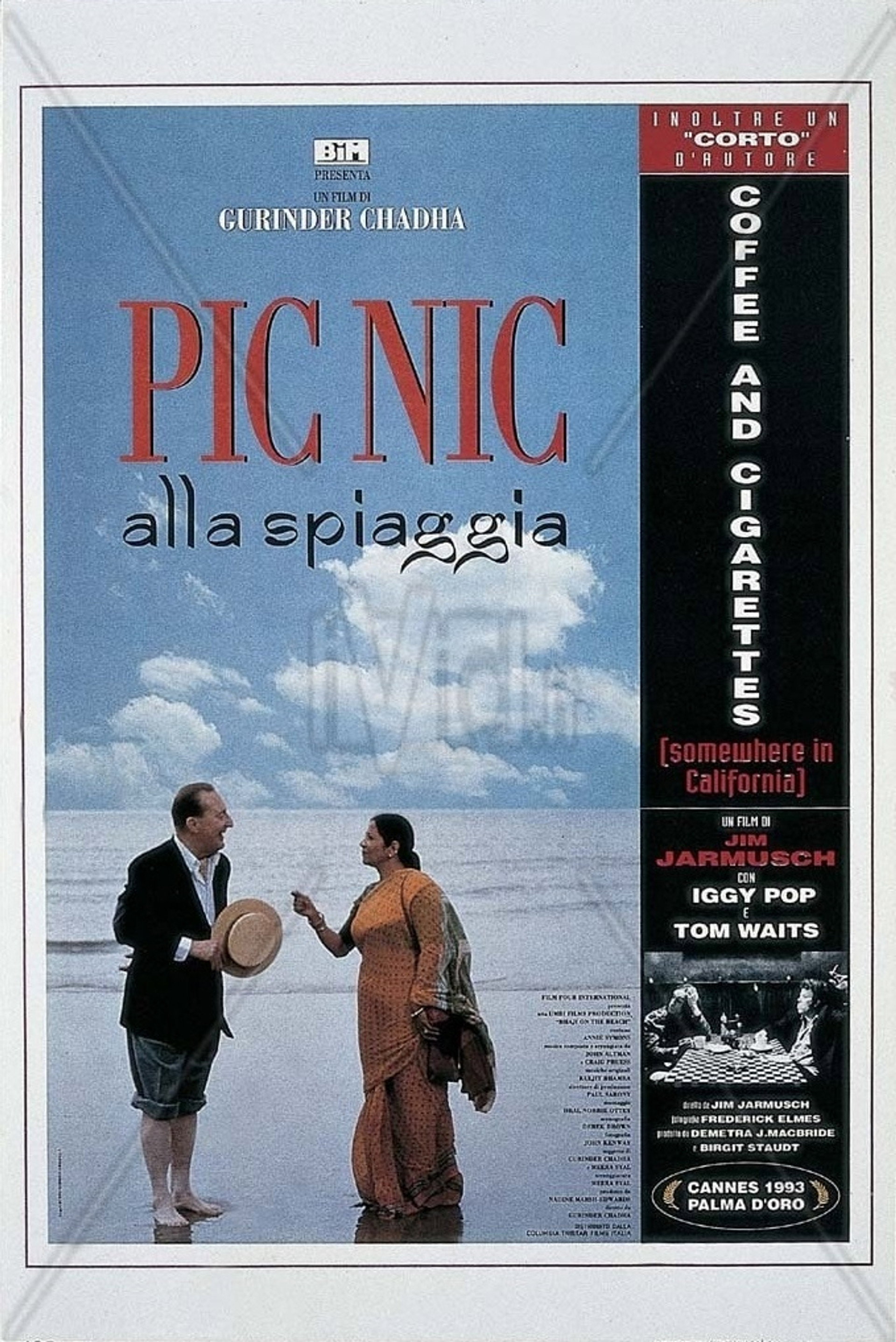 Picnic alla spiaggia