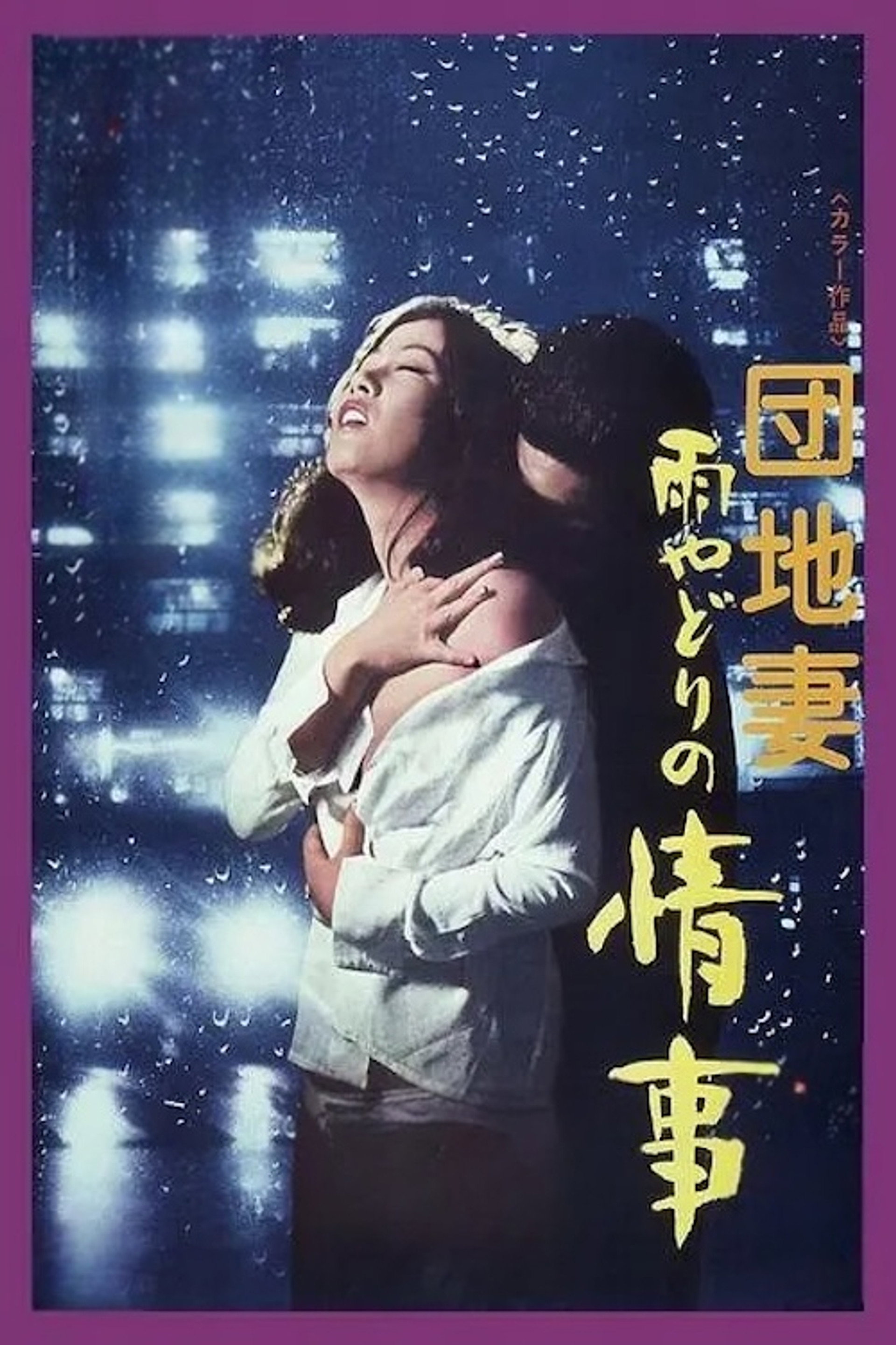 雨の夜の情事