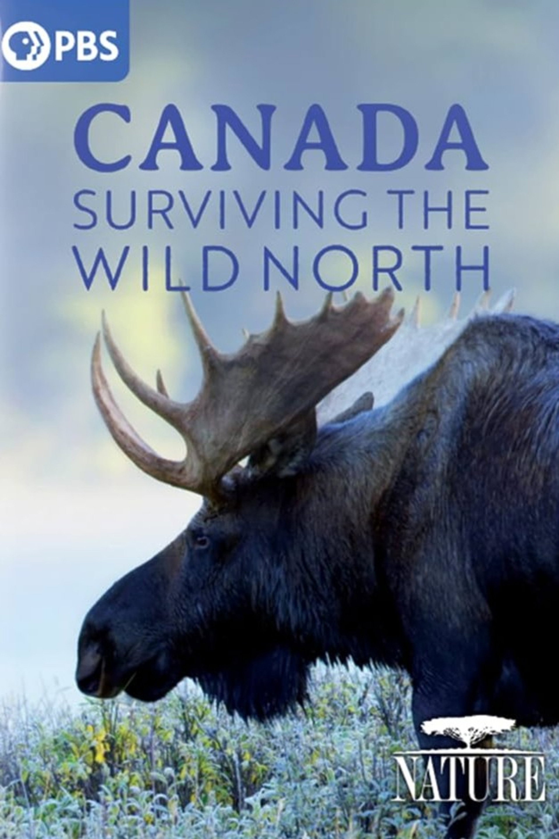 Canada: Surviving the Wild North