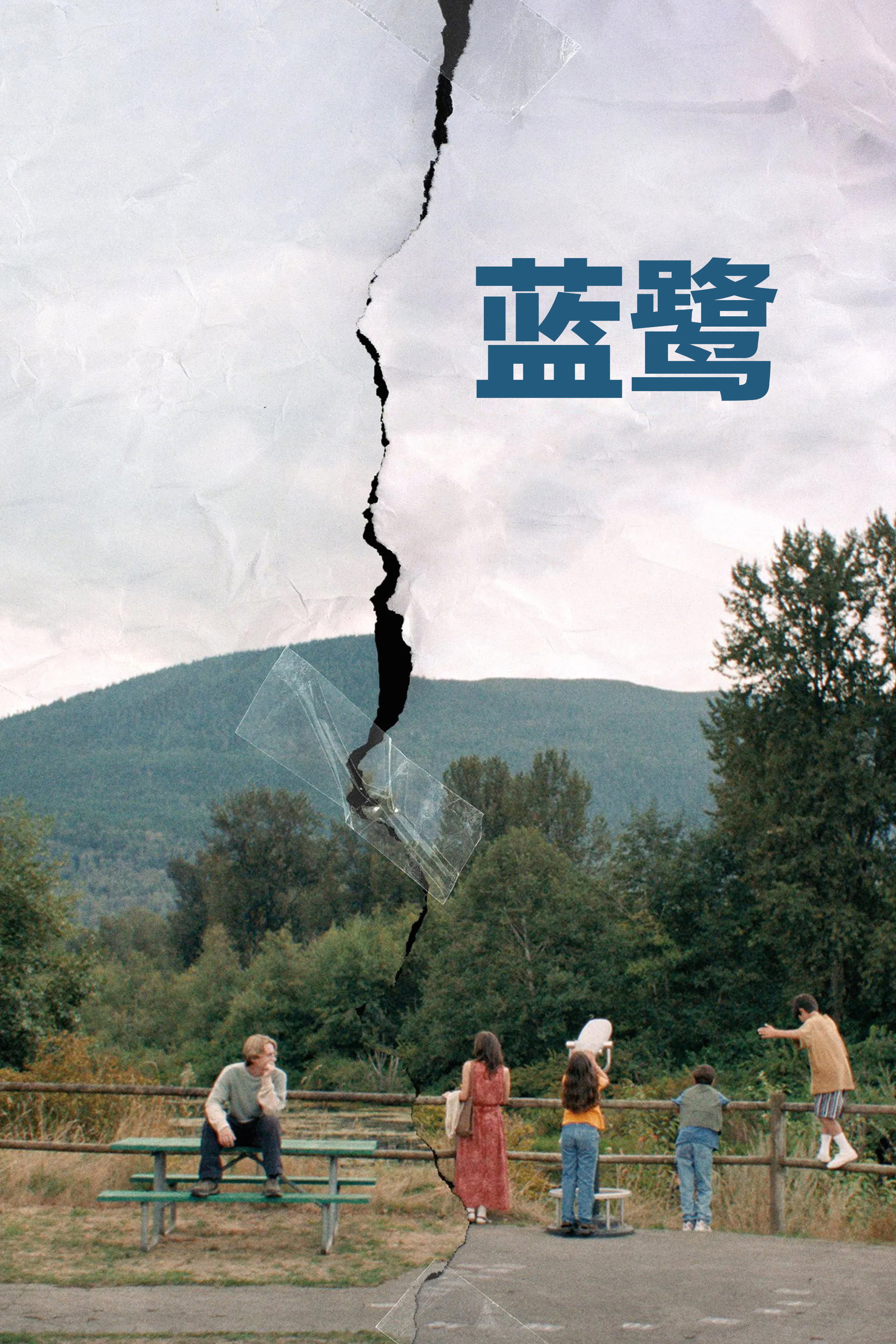 蓝鹭