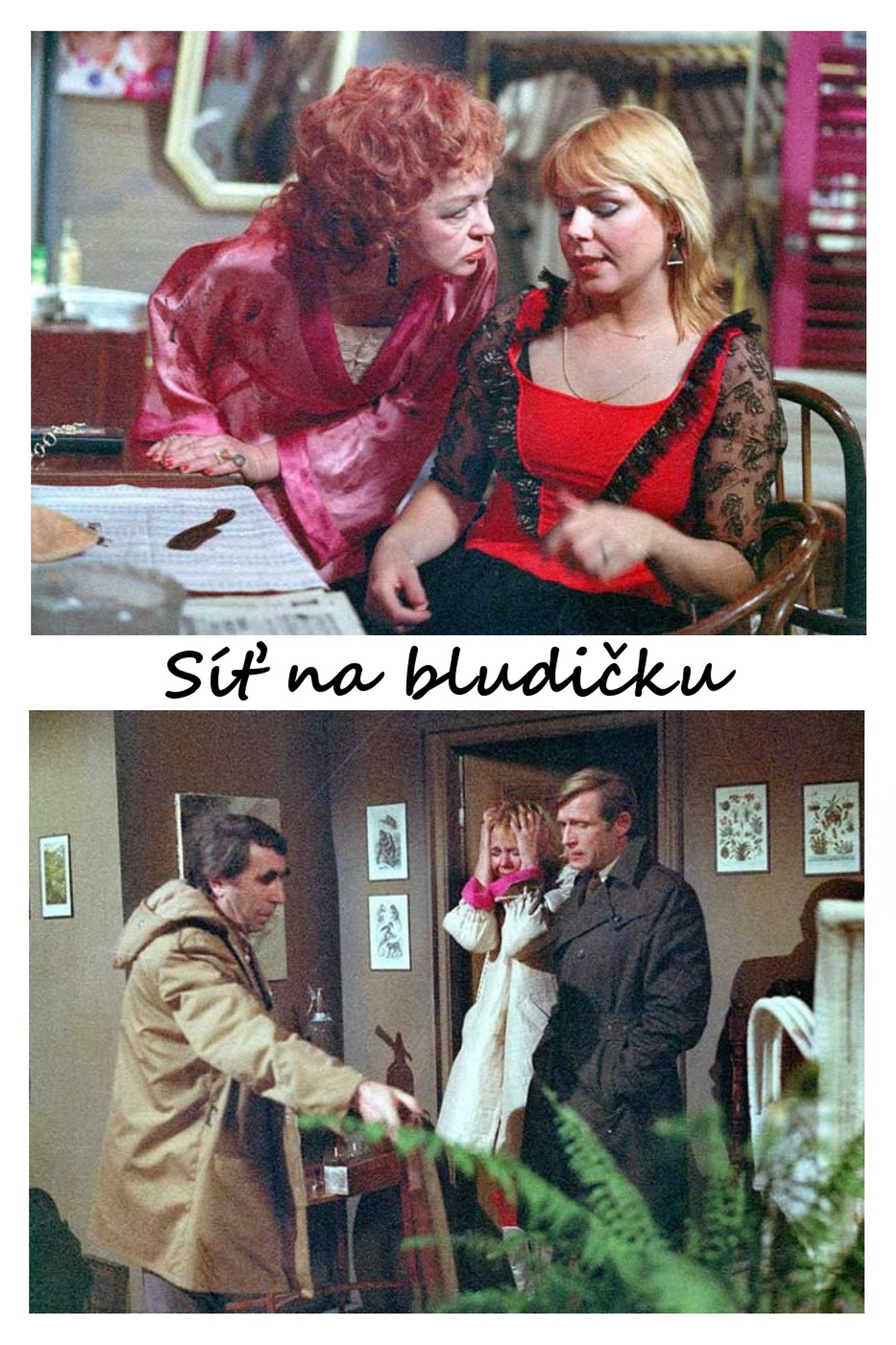 Síť na bludičku
