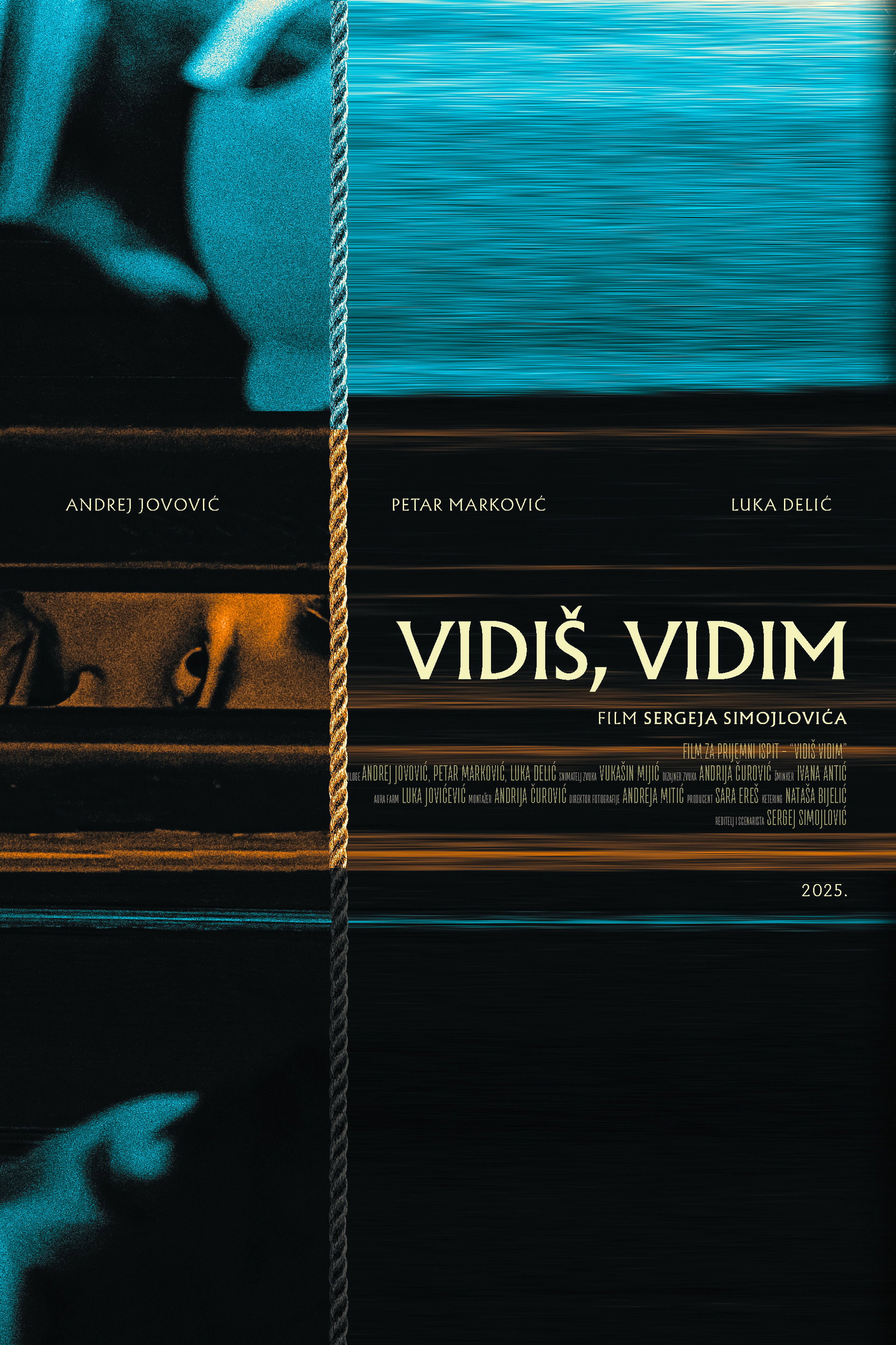 Vidis, vidim
