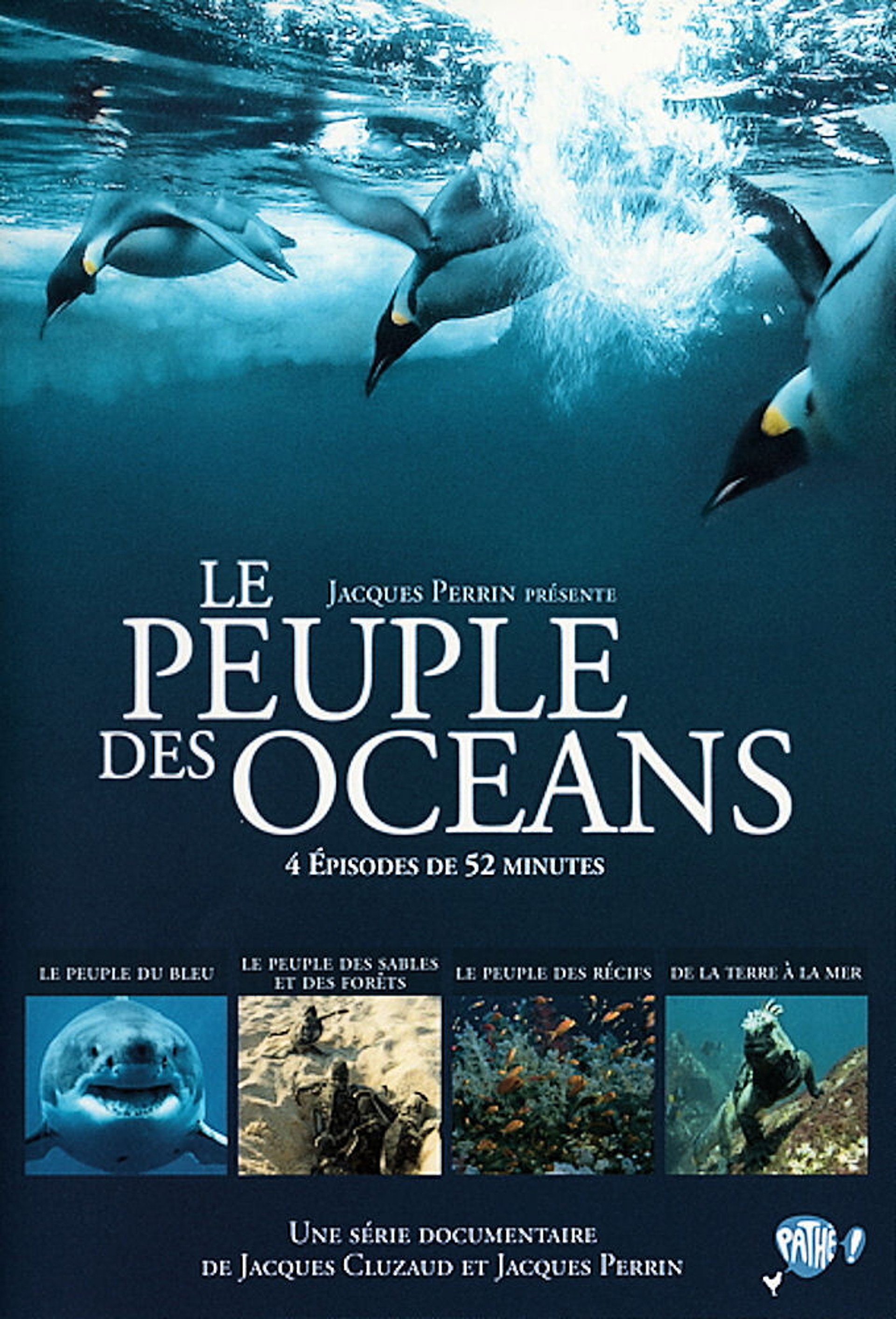 El reino del oceano